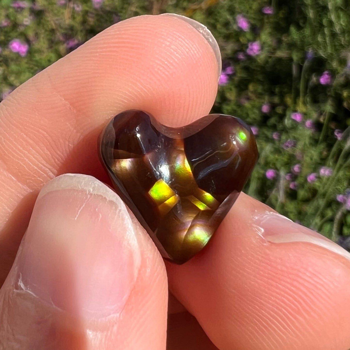 A cabochon cut heart shaped Mexican fire agate stone. The stone is orange, yellow, pink, green, and purple.