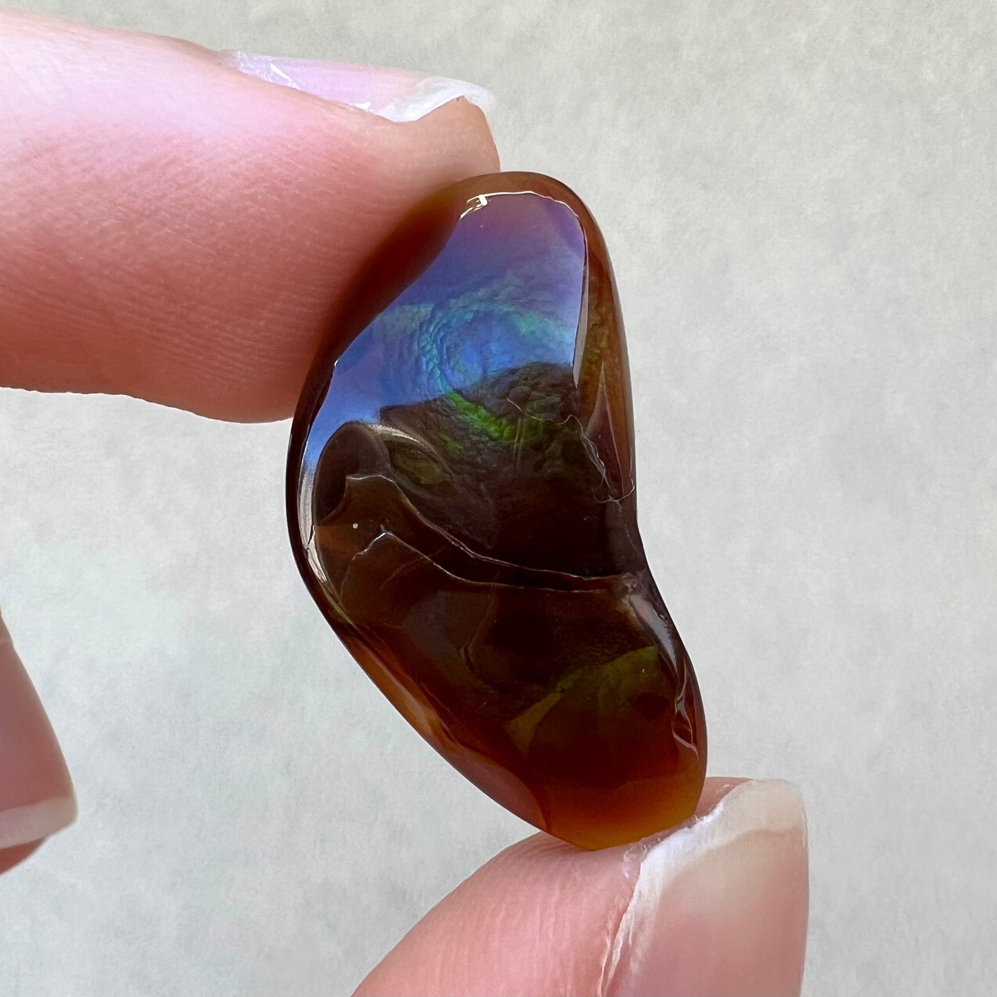 A loose, boomerang shaped fire agate cabochon.  The stone displays greens, purples, blues, and reds.