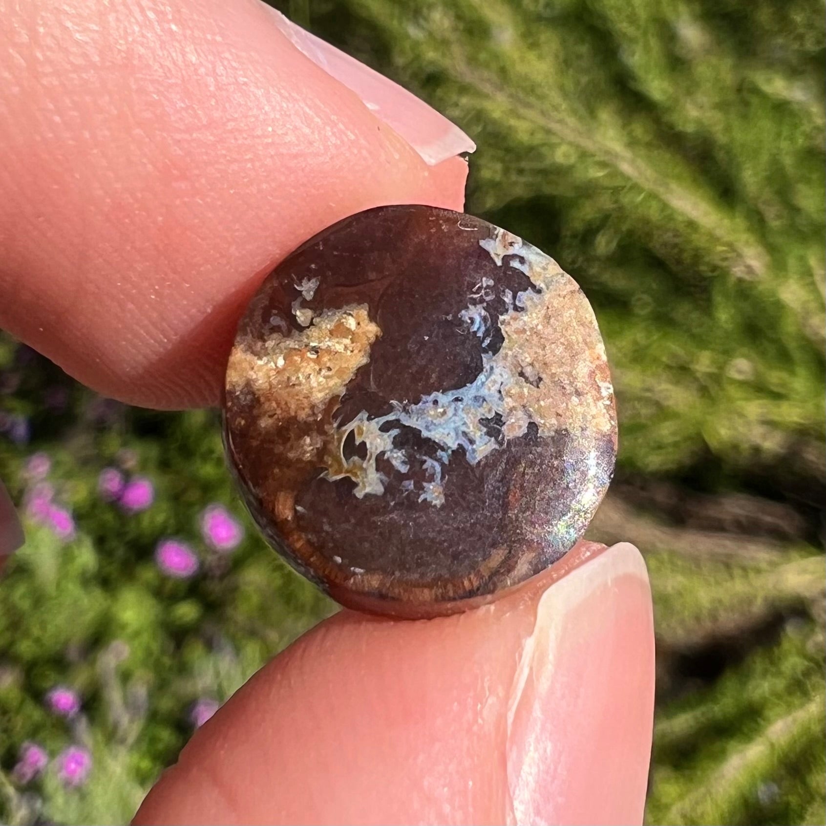 A loose, round cabochon cut fire agate stone.  The gem is green with orange, red, blue, and a purple stripe.