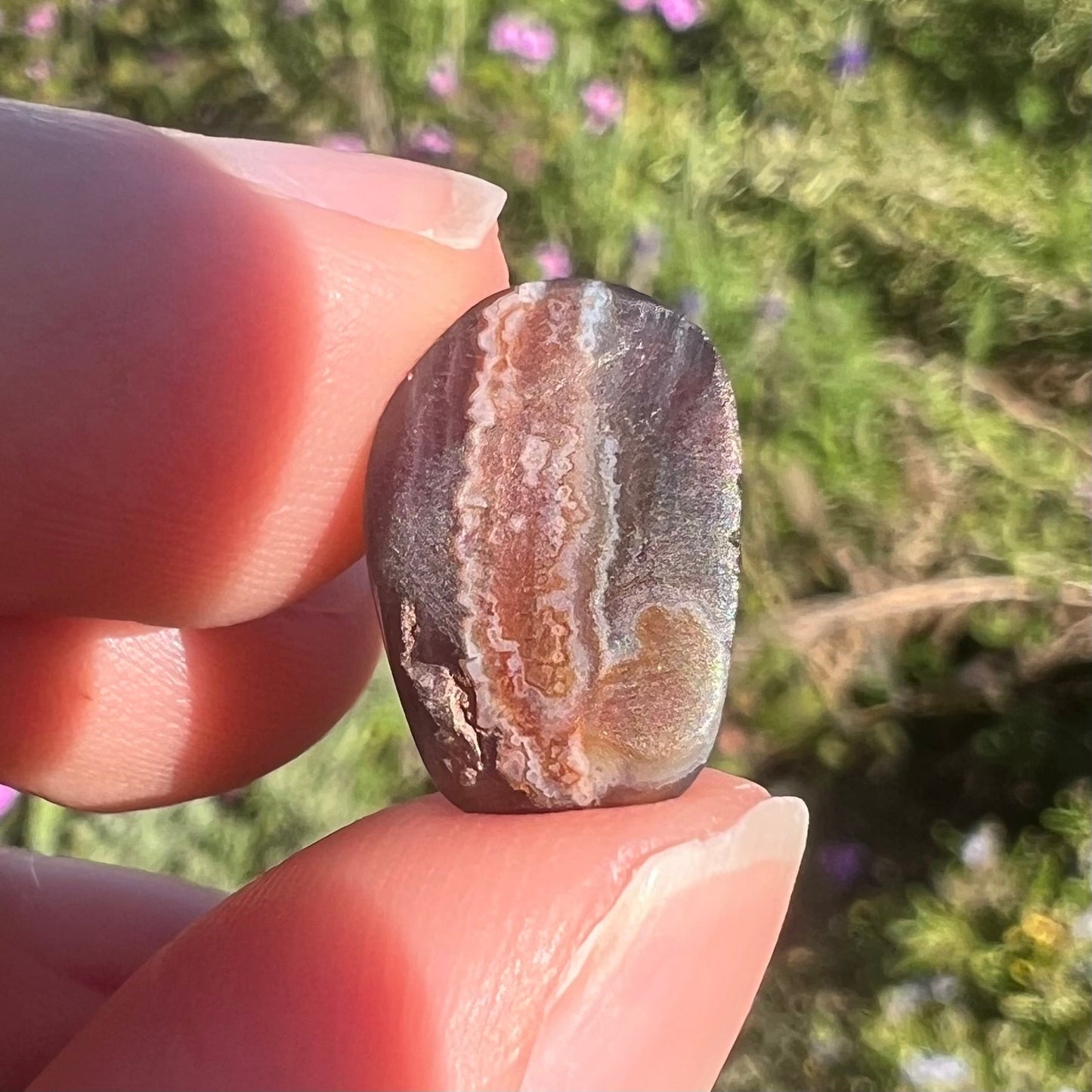 A loose, freeform cabochon cut fire agate gemstone. The stone is green with blue overtones.