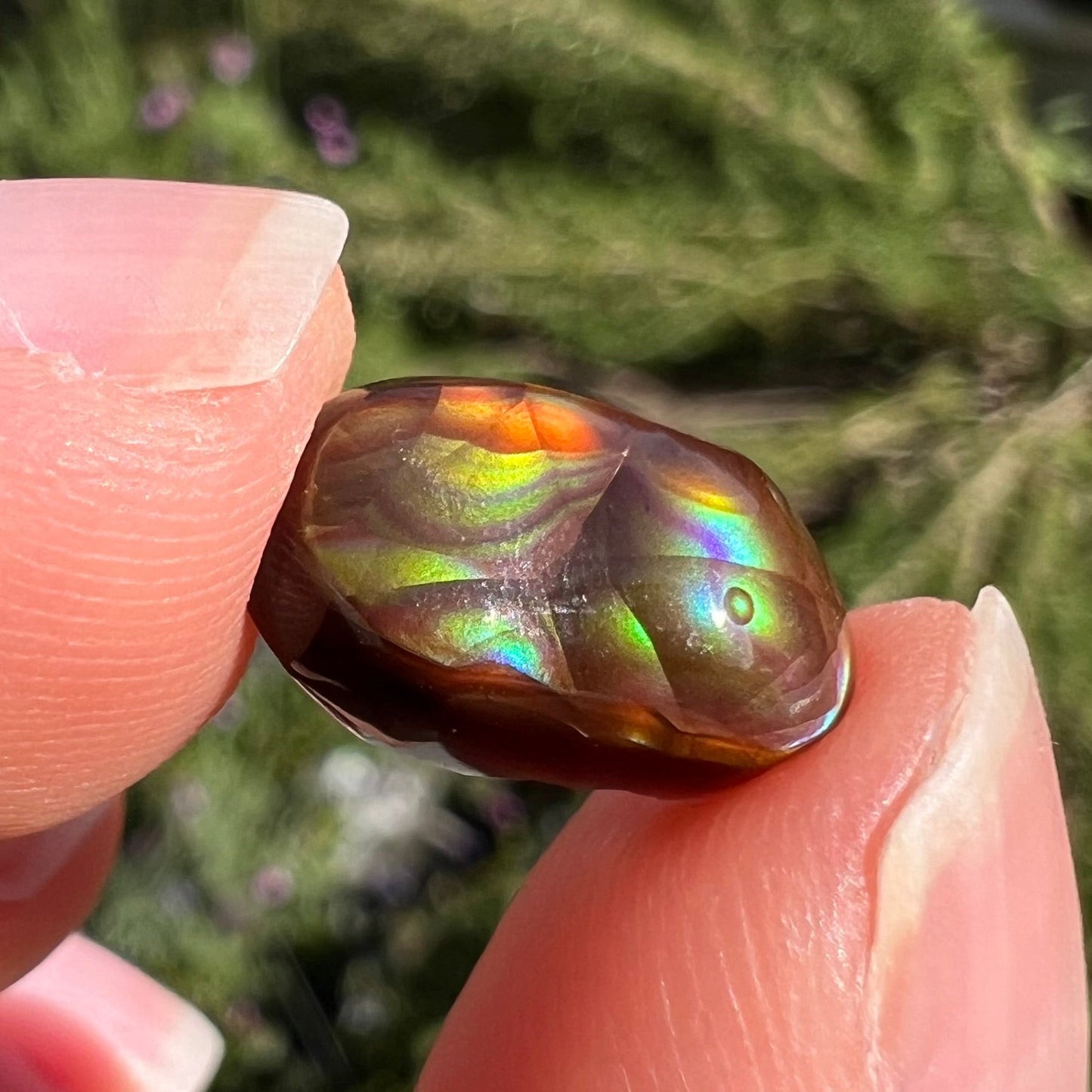 A loose, oval cabochon cut Mexican fire agate stone. The stone has multi-colored banding with blue overtones.