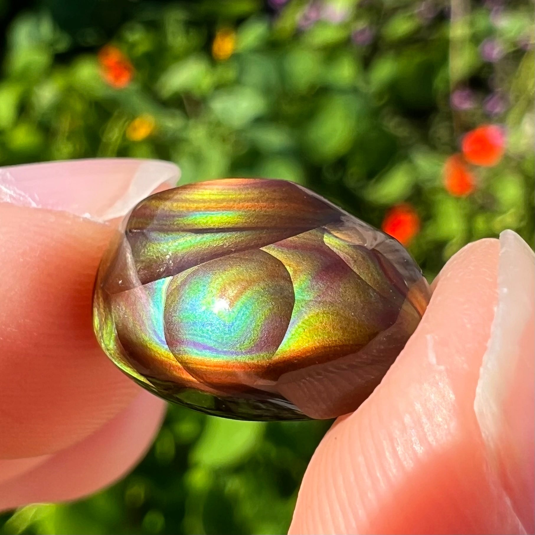An oval cabochon cut Mexican fire agate stone.  The stone has bright, multicolored iridescent banding.