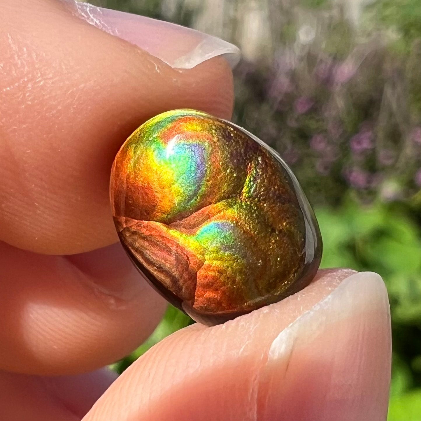 A loose, oval cabochon cut Mexican fire agate stone. The gem is iridescent with every color of the rainbow.