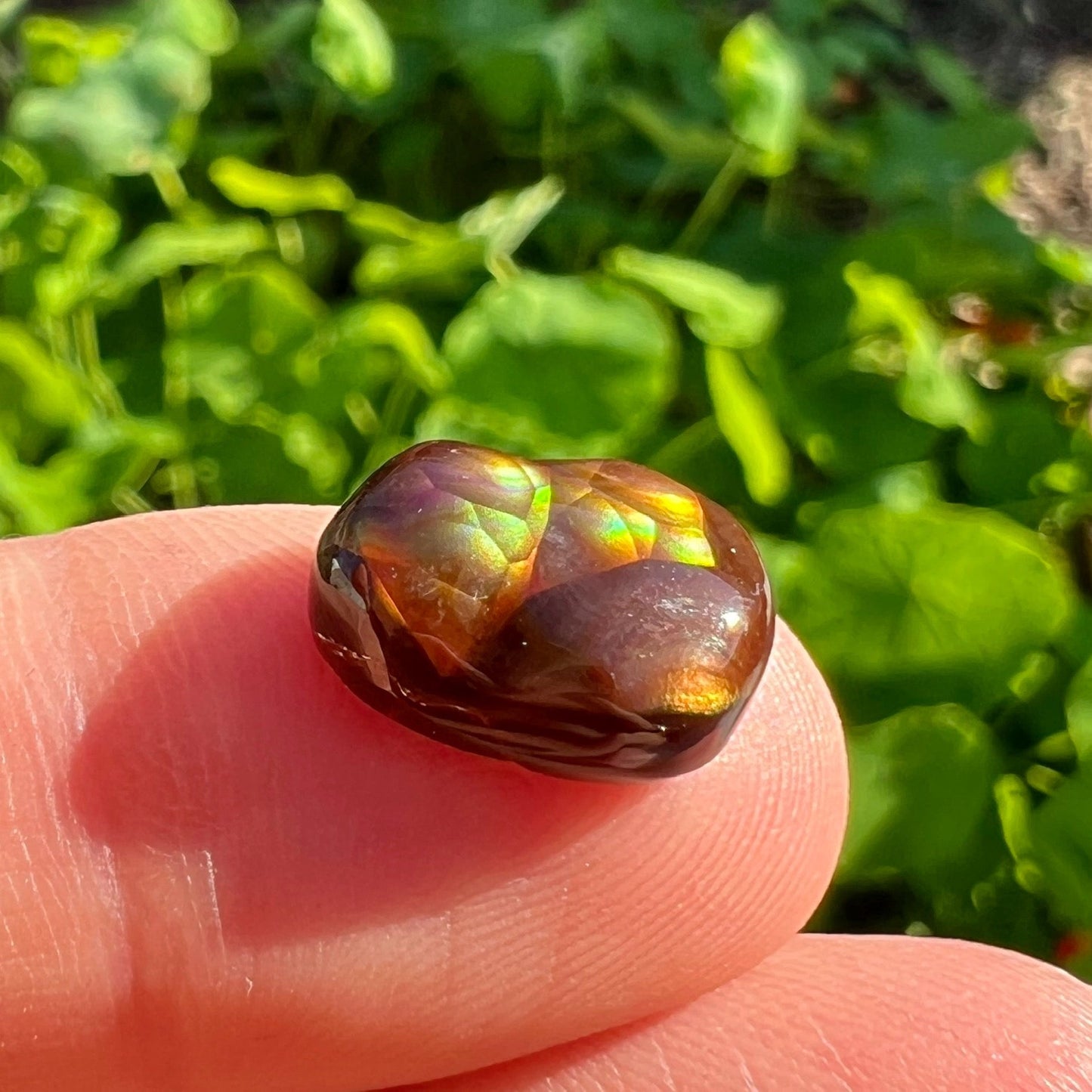 A freeform Mexican fire agate cabochon. The stone shines with bands of green, red, orange, blue, and purple.
