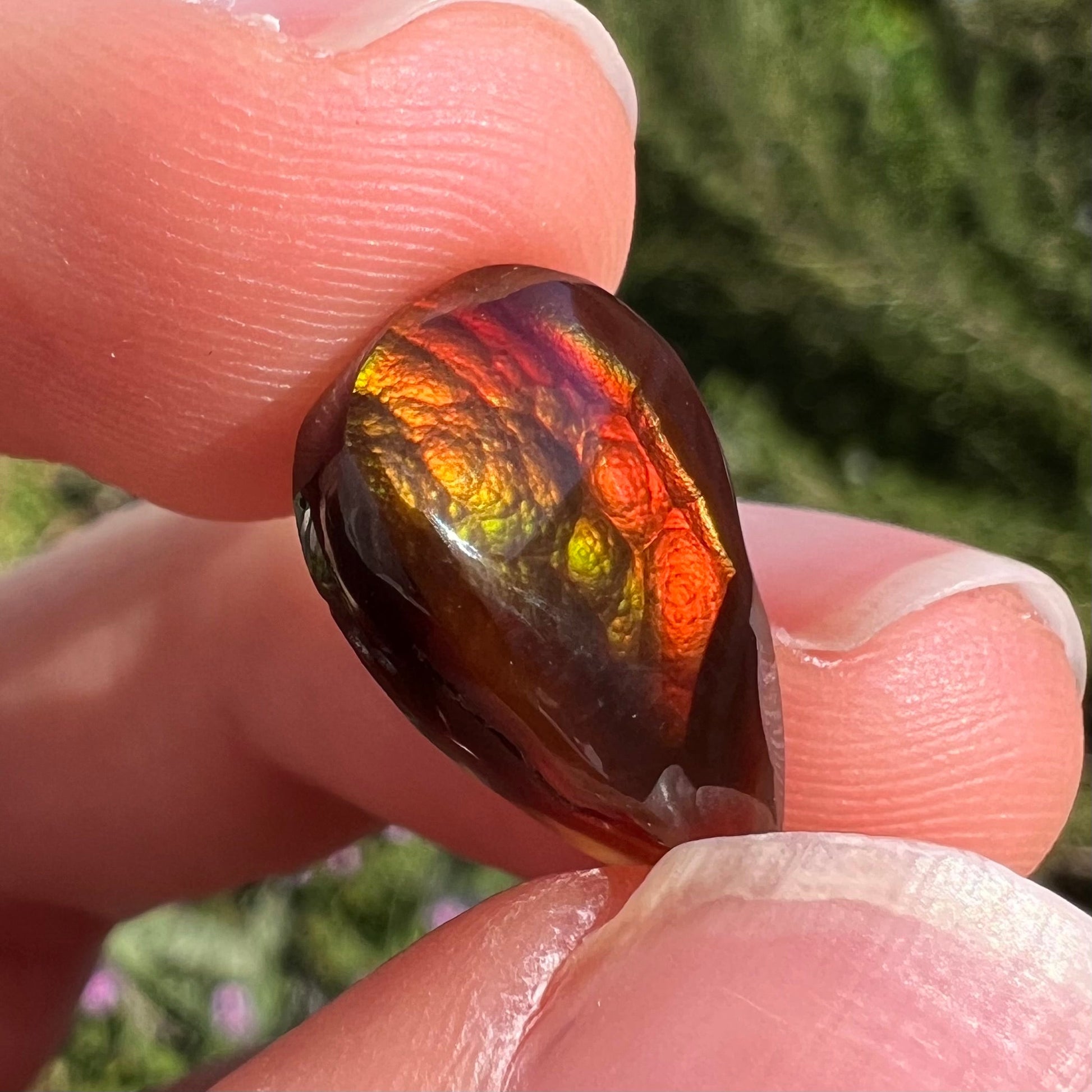 A loose, pear shaped Mexican fire agate gemstone.  The stone is predominantly vivid red with green overtones.