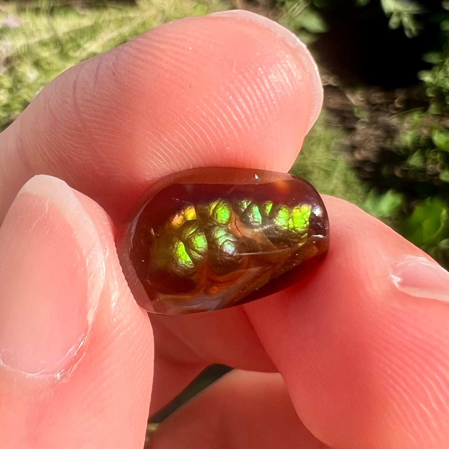 A loose, freeform cabochon cut fire agate gemstone. The stone is green with blue overtones.