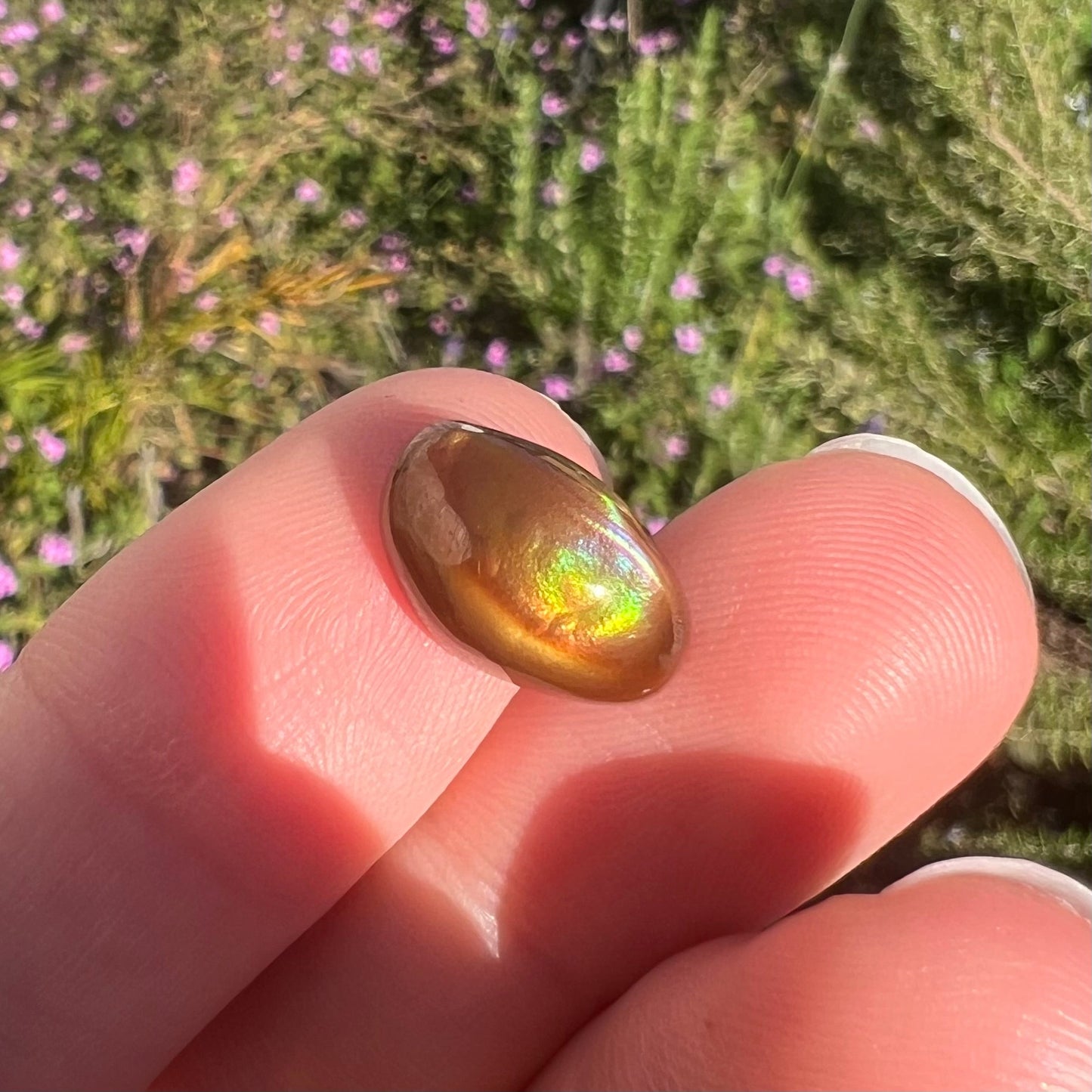 A loose, oval cabochon cut fire agate stone that shines red, yellow, green, blue, and purple.