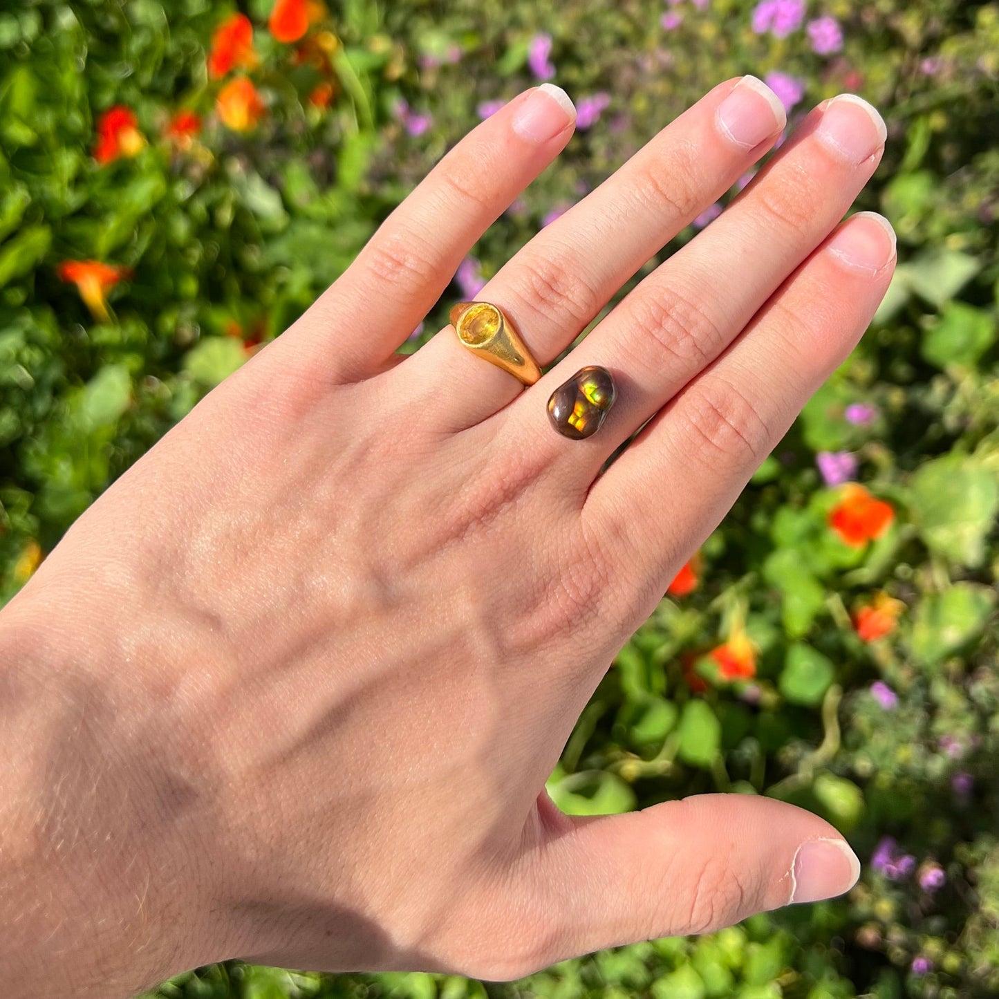 A loose, freefrom cabochon cut Mexican fire agate stone. The stone has red, green, yellow, and purple banding.