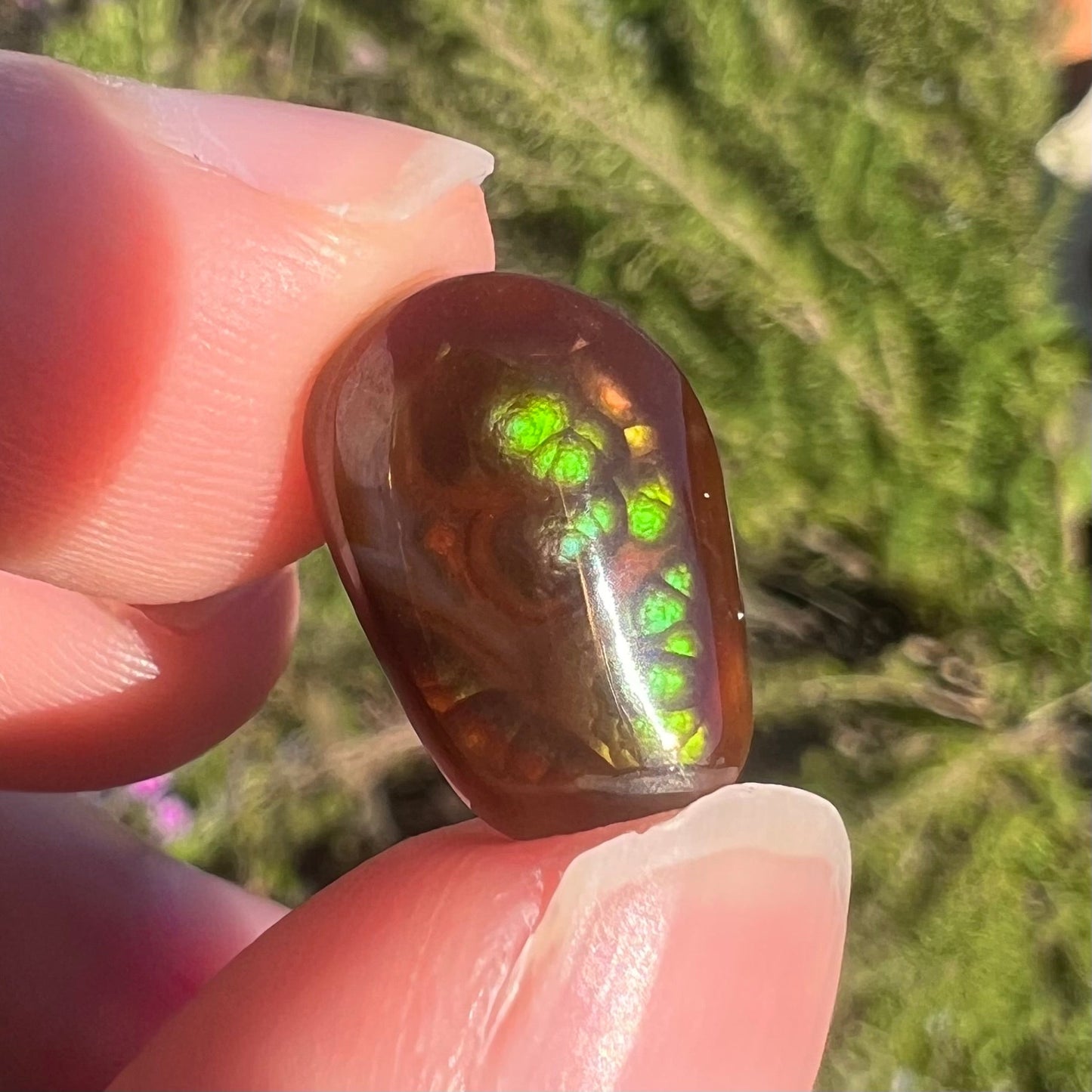 A loose, freeform cabochon cut fire agate gemstone. The stone is green with blue overtones.
