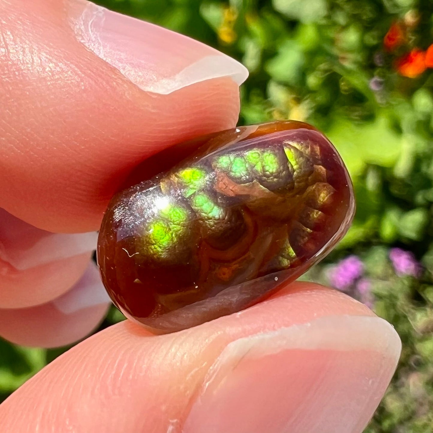 A loose, cabochon cut Mexican fire agate stone. The stone's colors are predominantly bright green and blue.