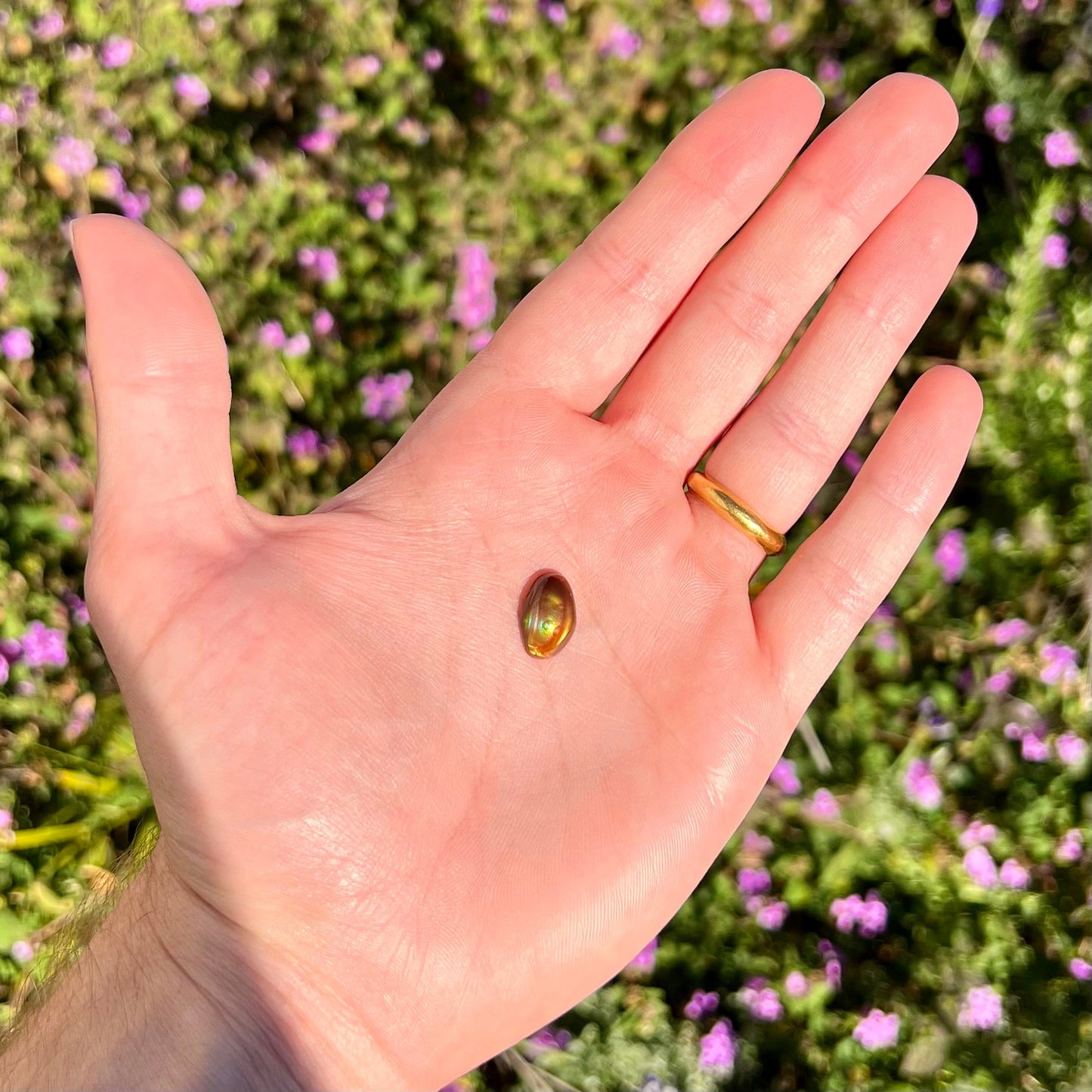 A loose, oval cabochon cut fire agate stone that shines red, yellow, green, blue, and purple.
