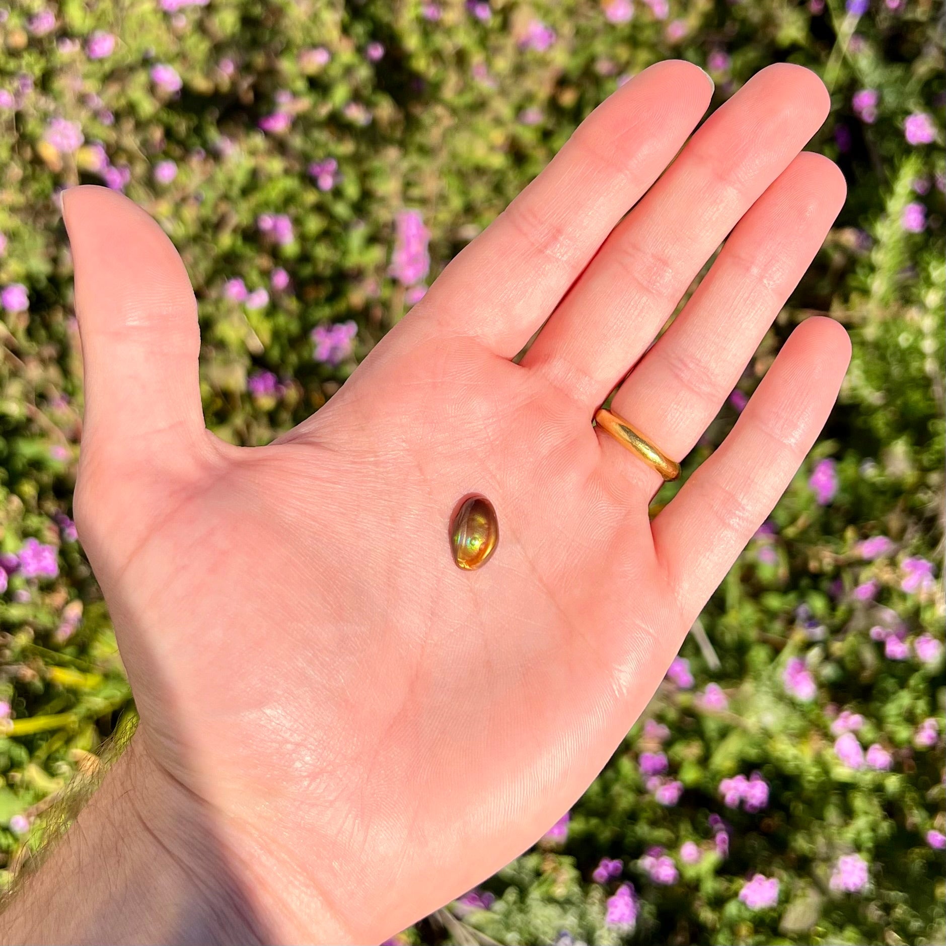 A loose, oval cabochon cut fire agate stone that shines red, yellow, green, blue, and purple.