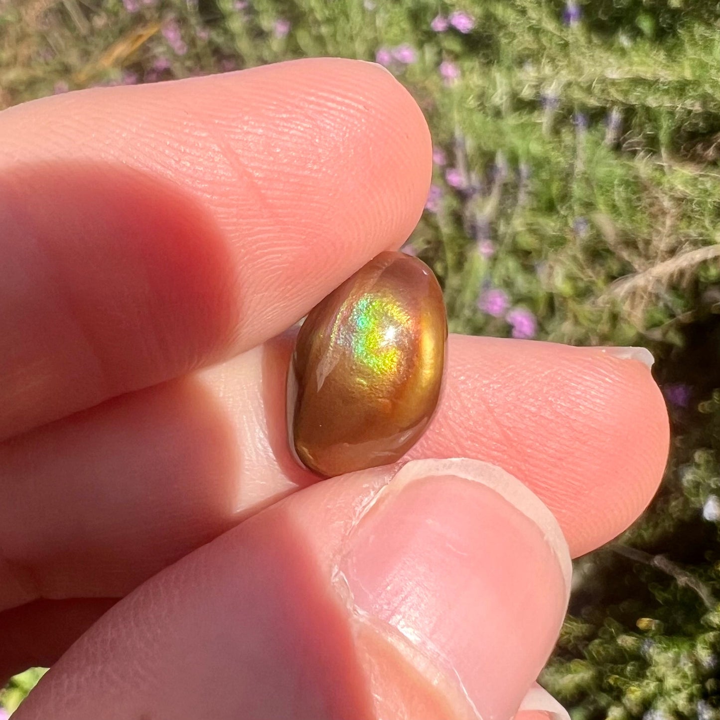 A loose, oval cabochon cut fire agate stone that shines red, yellow, green, blue, and purple.