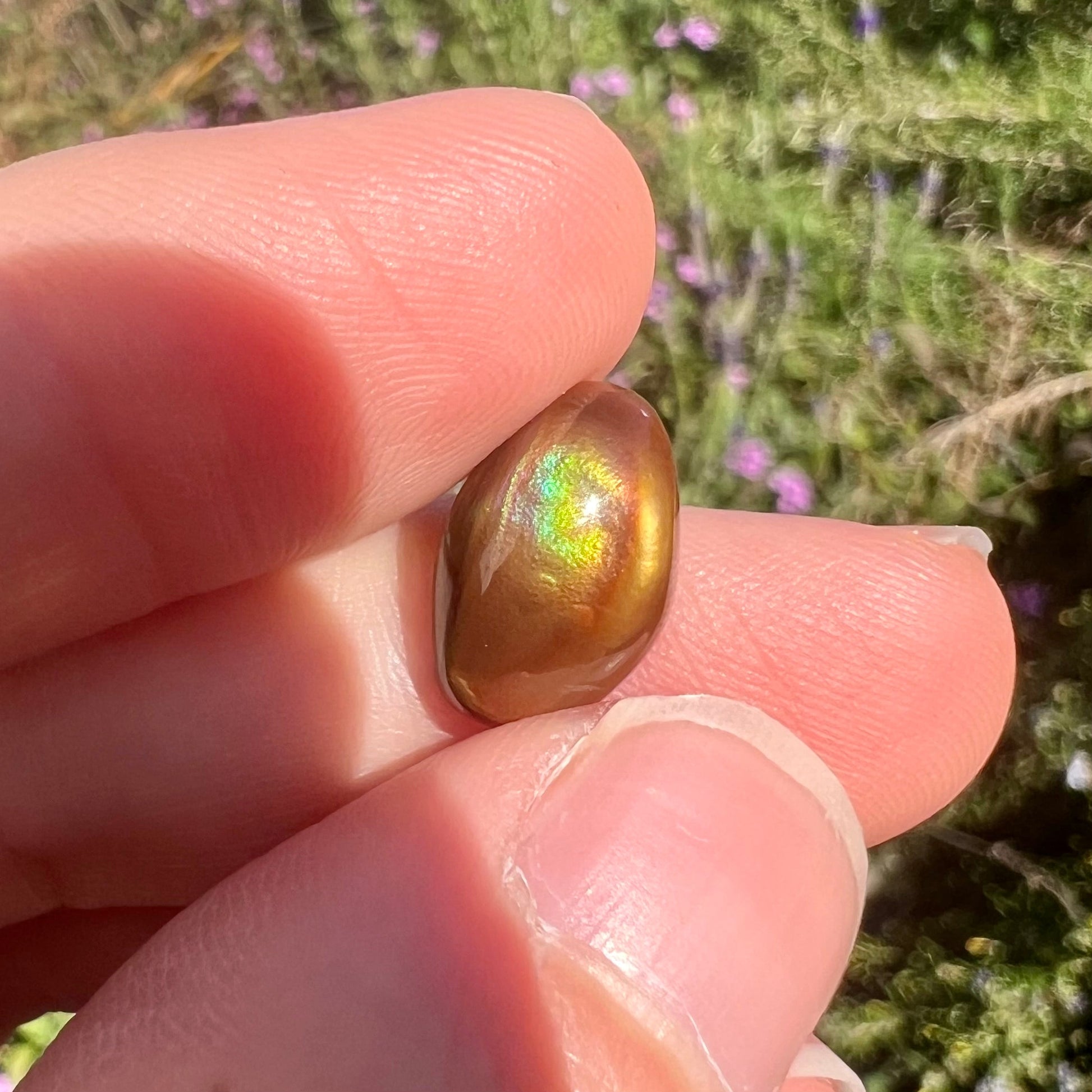 A loose, oval cabochon cut fire agate stone that shines red, yellow, green, blue, and purple.
