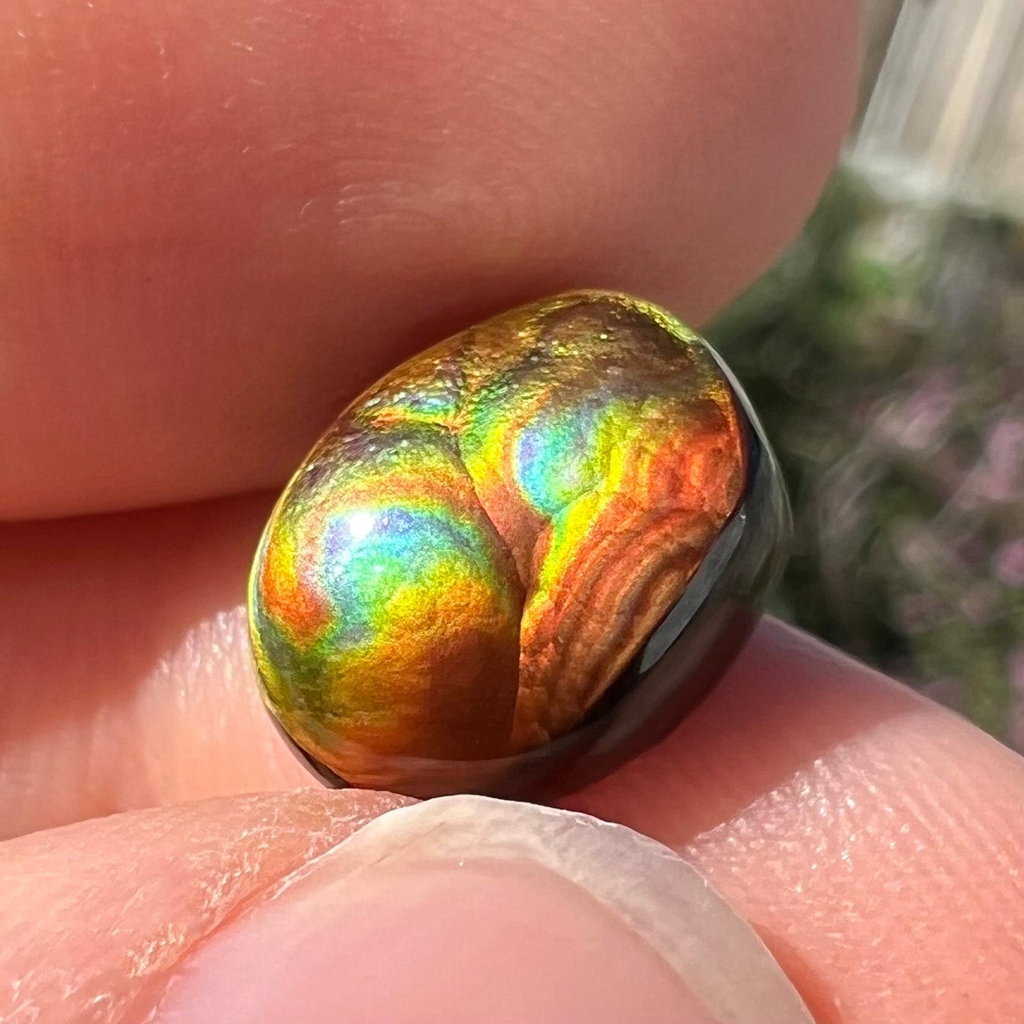 A loose, oval cabochon cut Mexican fire agate stone. The gem is iridescent with every color of the rainbow.