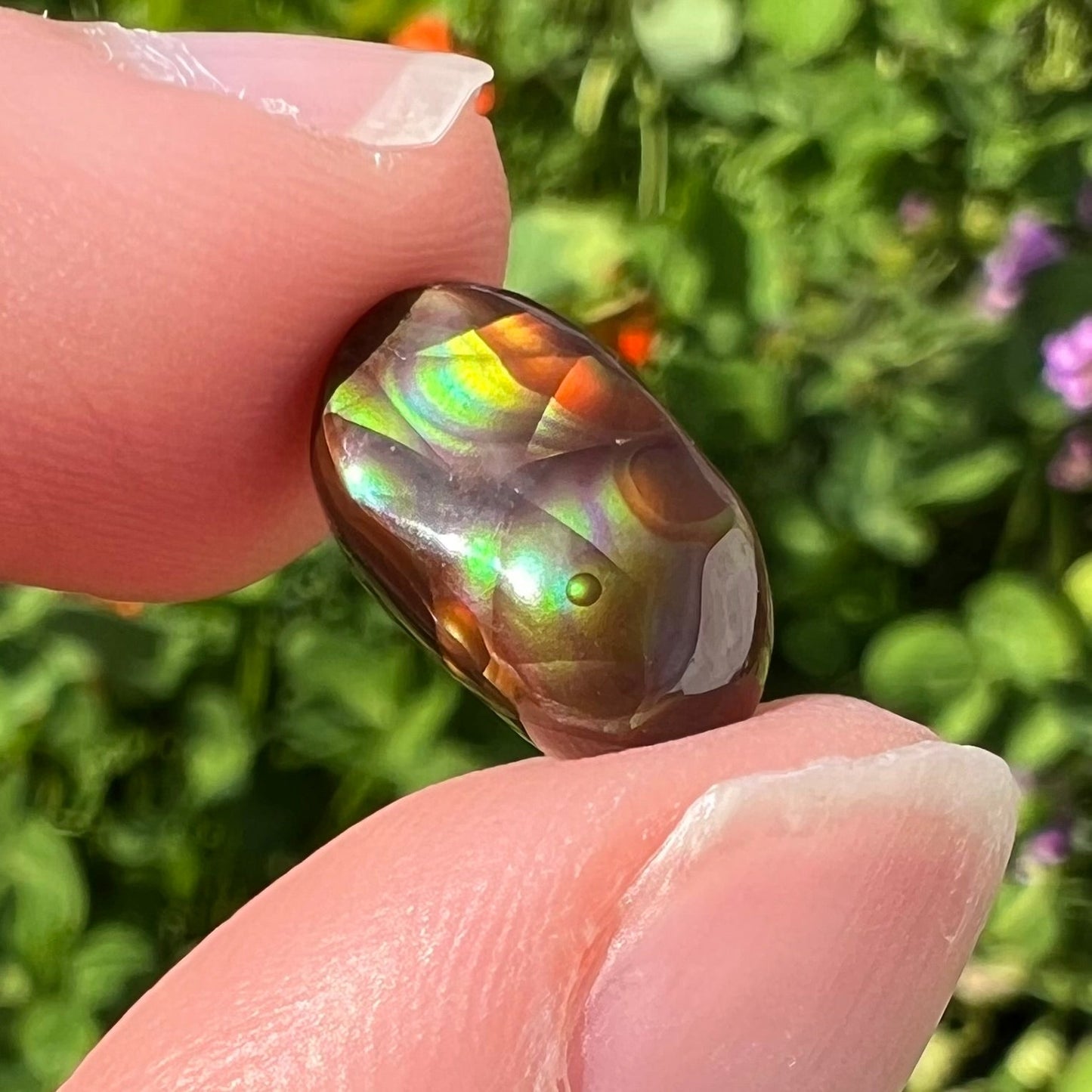 A loose, oval cabochon cut Mexican fire agate stone. The stone has multi-colored banding with blue overtones.