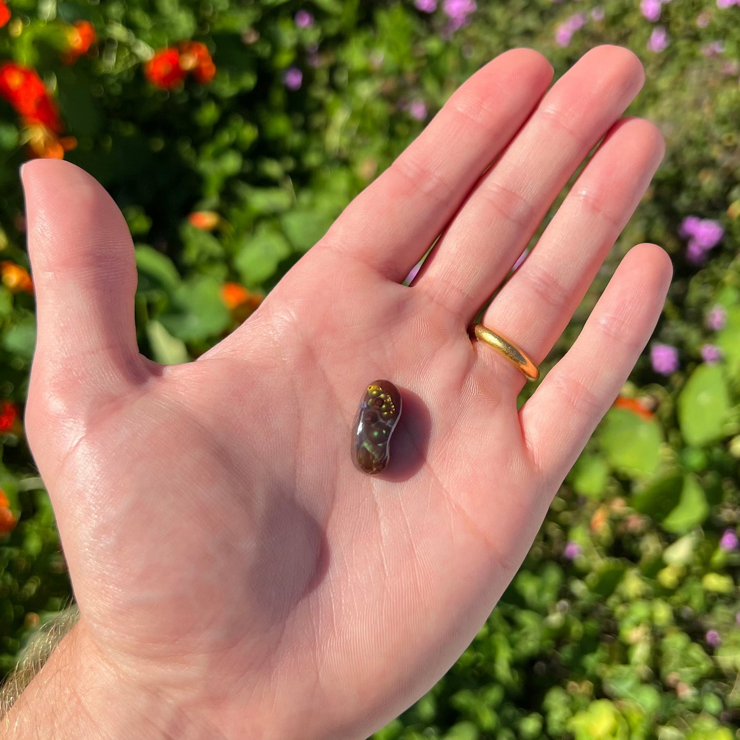 A loose, cabochon cut fire agate gemstone. The stone resembles a foot with a green heel and yellow toes.