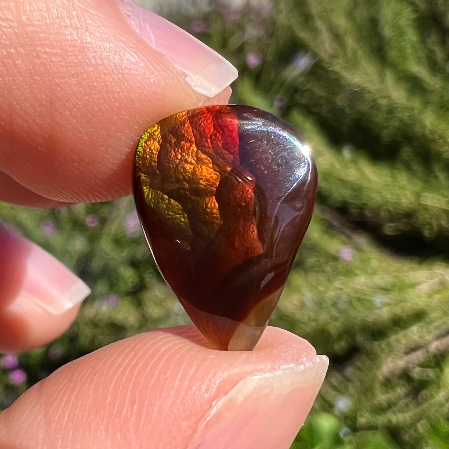 A loose, pear shaped Mexican fire agate gemstone.  The stone is predominantly vivid red with green overtones.