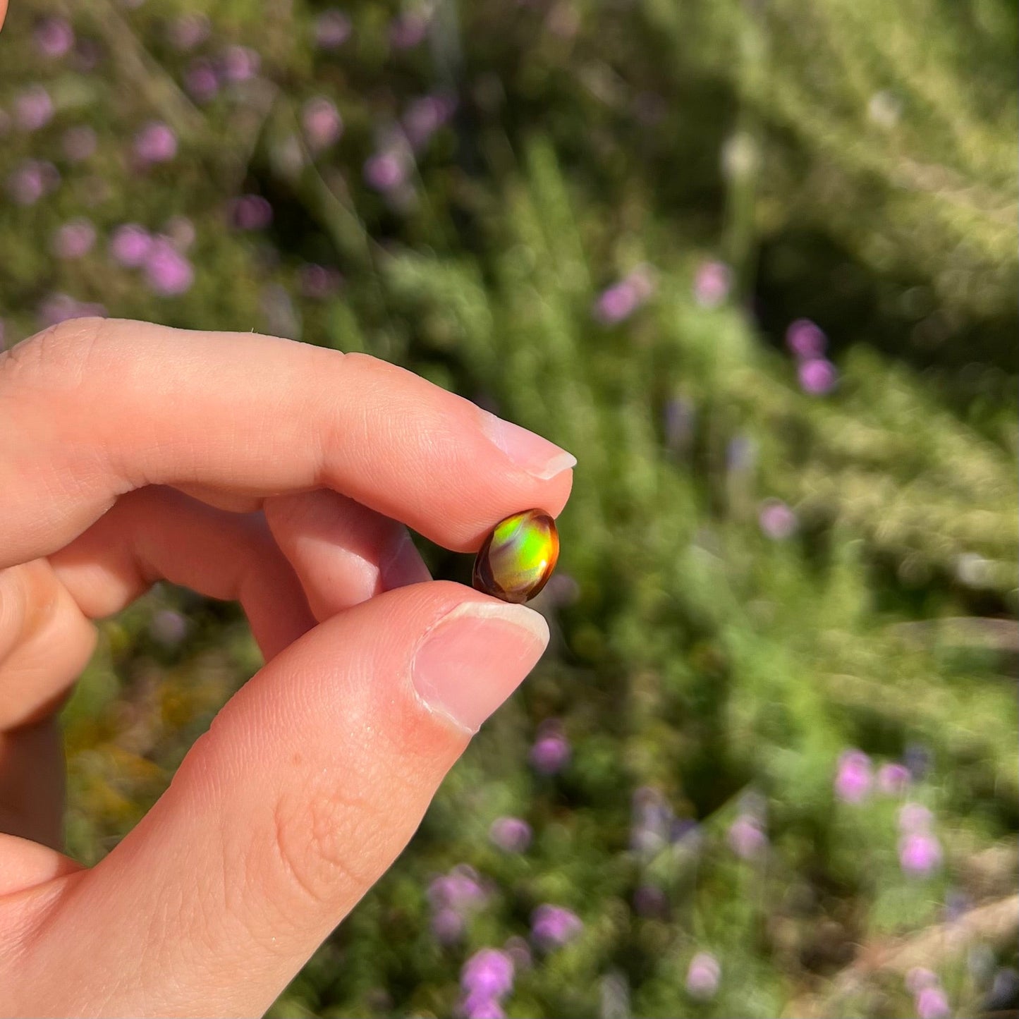 A loose, 3.38ct, pear shaped Mexican fire agate stone. The stone shines a vivid, bright green color with a purple streak.
