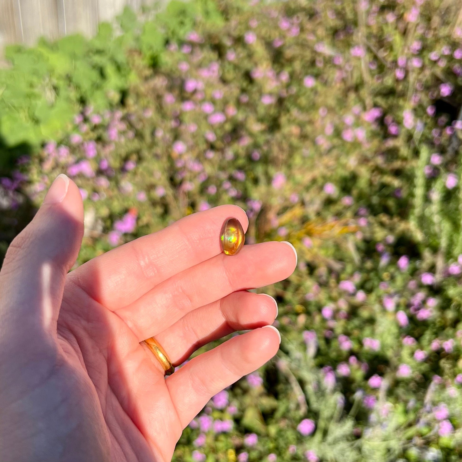 A loose, oval cabochon cut fire agate stone that shines red, yellow, green, blue, and purple.
