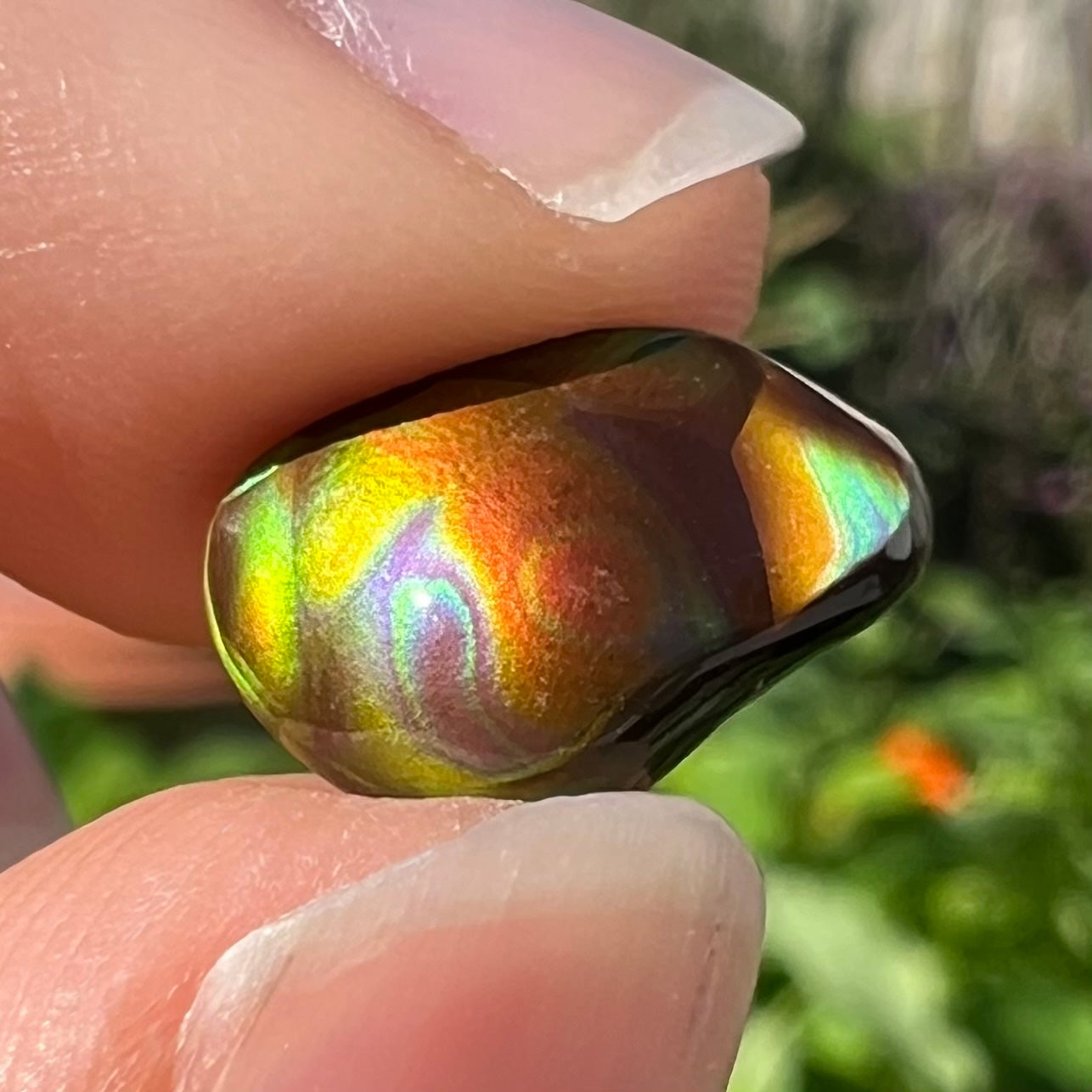 An iridescent, freeform cabochon cut fire agate from Mexico. The stone has a bull's eye pattern and bright colors.