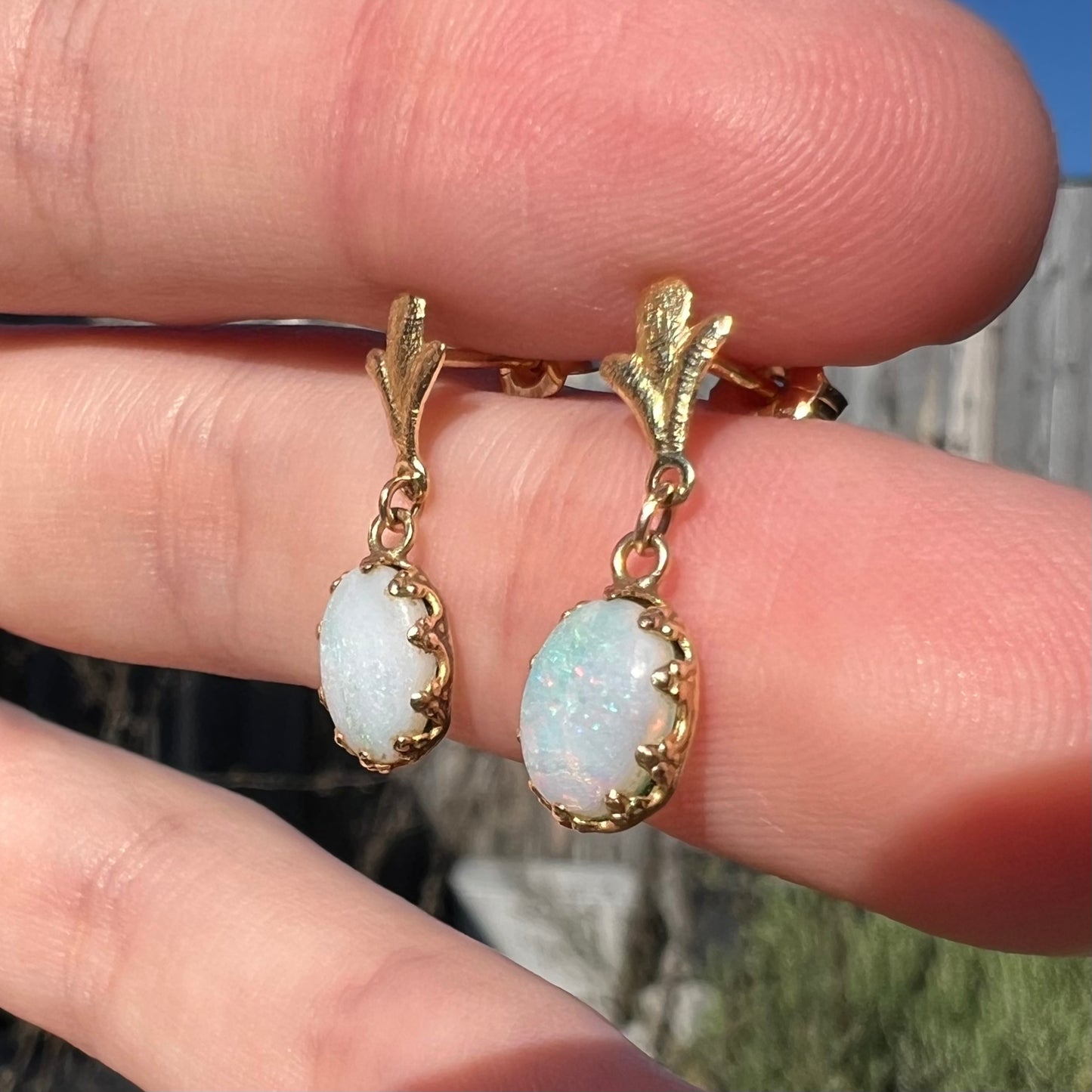A pair of yellow gold Fleur-de-Lis Australian light opal dangle earrings shown close-up from an angle in the sunlight.