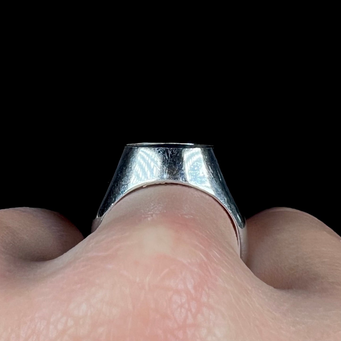 Close-up gallery view of a flush set stainless steel ring worn on a finger, shown against a black background.