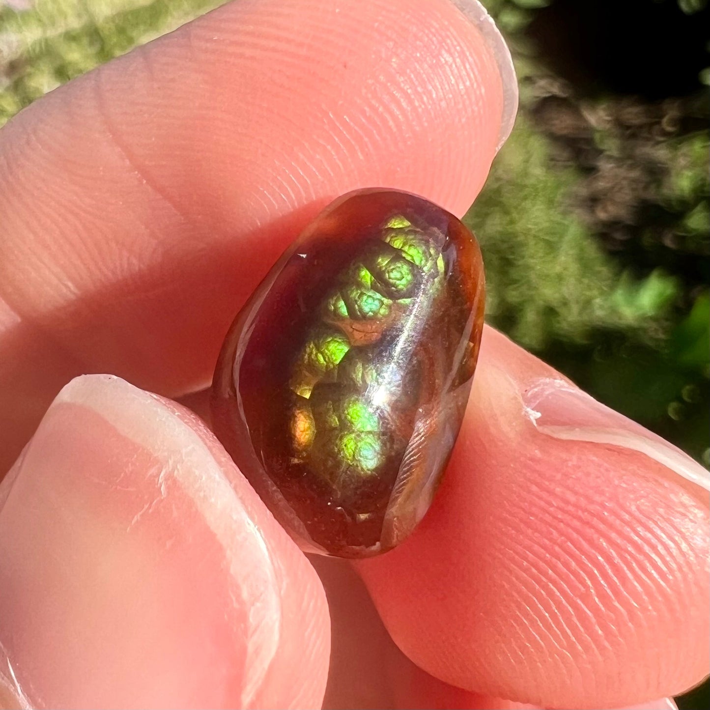 A loose, freeform cabochon cut fire agate gemstone. The stone is green with blue overtones.