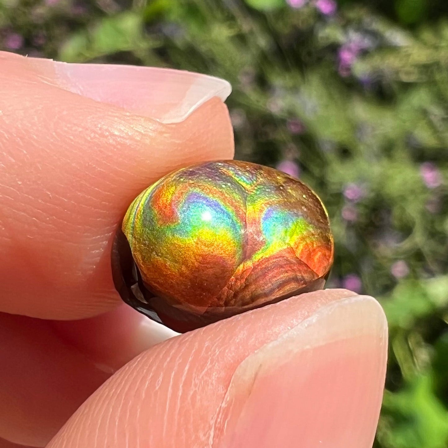 A loose, oval cabochon cut Mexican fire agate stone. The gem is iridescent with every color of the rainbow.