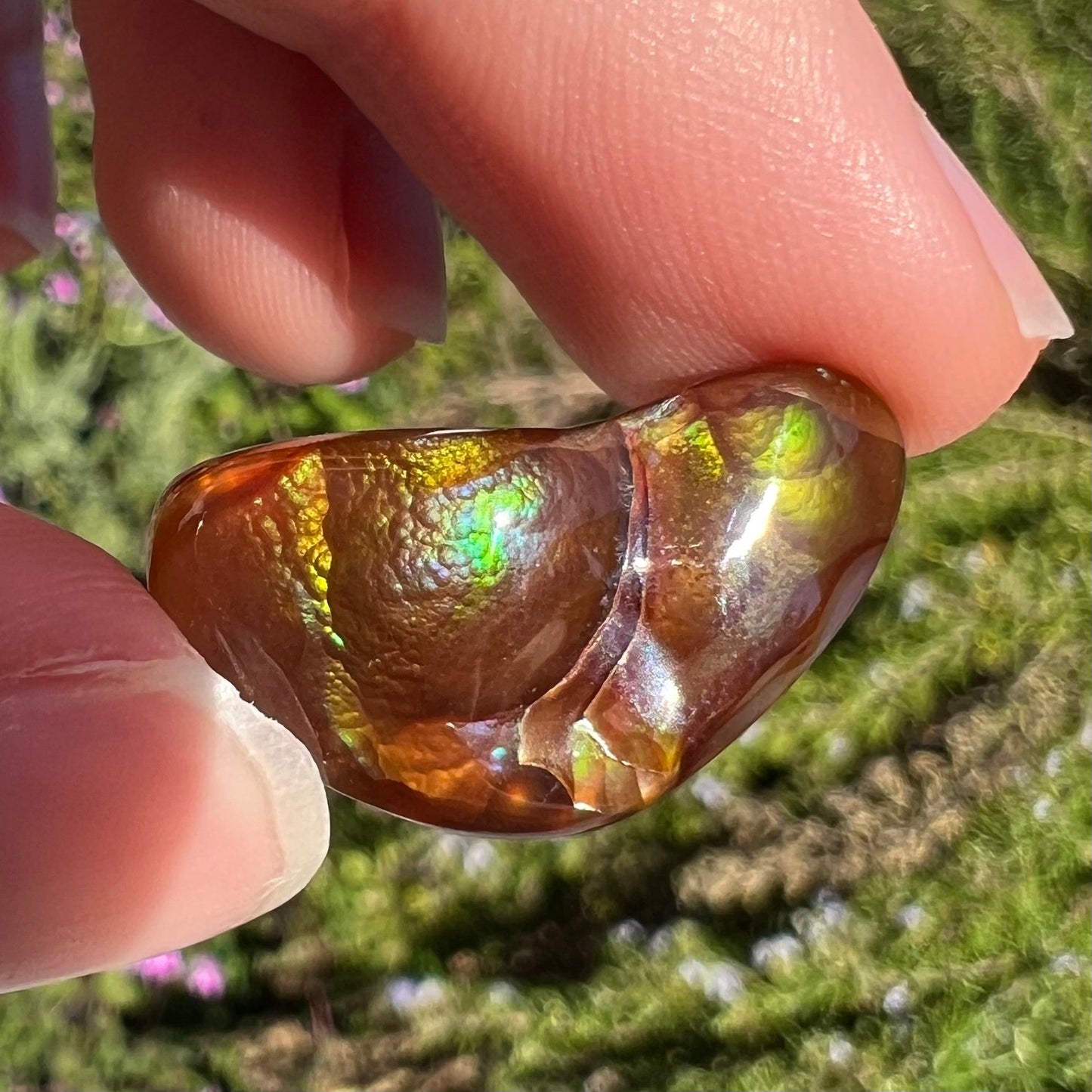 A loose, boomerang shaped fire agate cabochon. The stone displays greens, purples, blues, and reds.