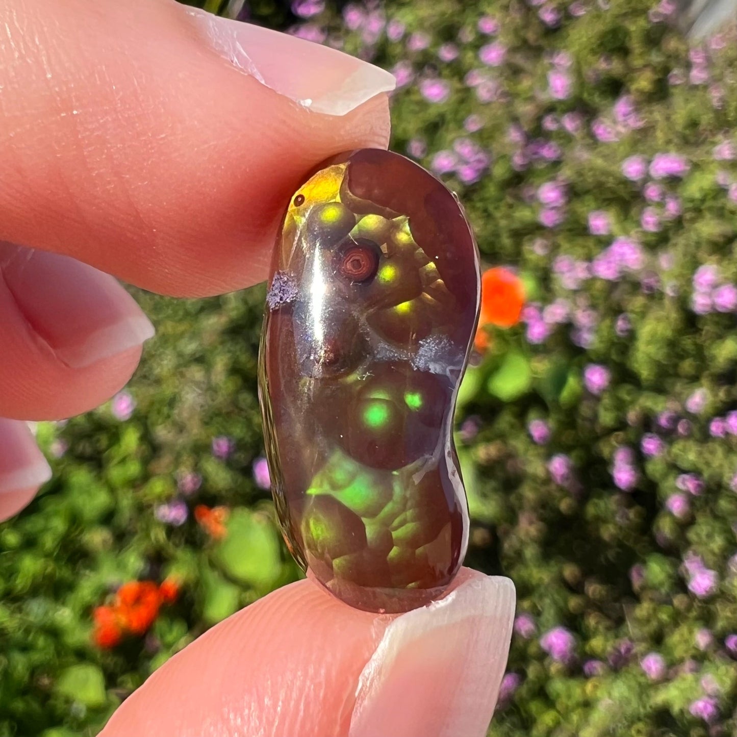 A loose, cabochon cut fire agate gemstone. The stone resembles a foot with a green heel and yellow toes.