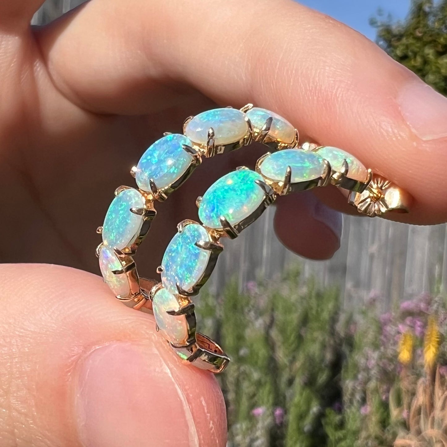 Opposite side of gold opal earrings in sunlight with soft green and blue play.
