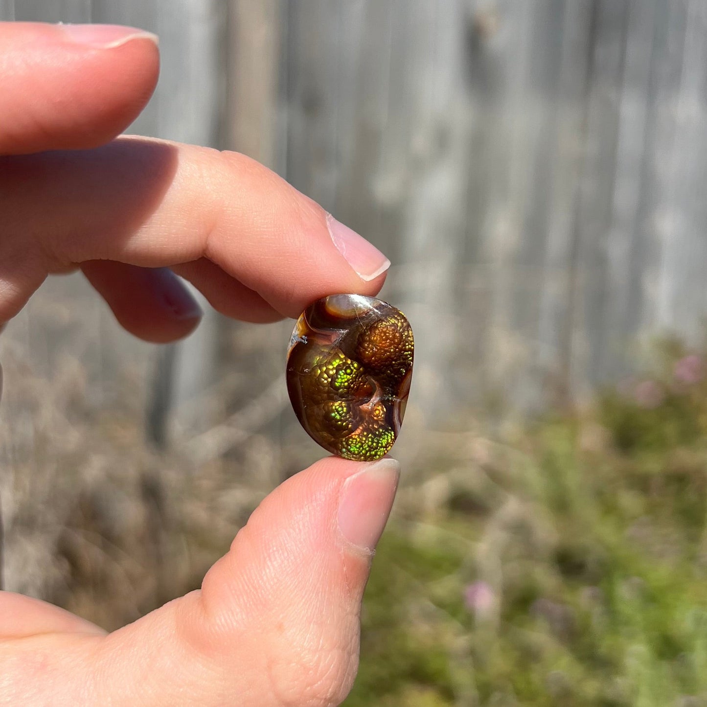 A large Mexican fire agate cabochon. The stone has a bubbly green pattern.
