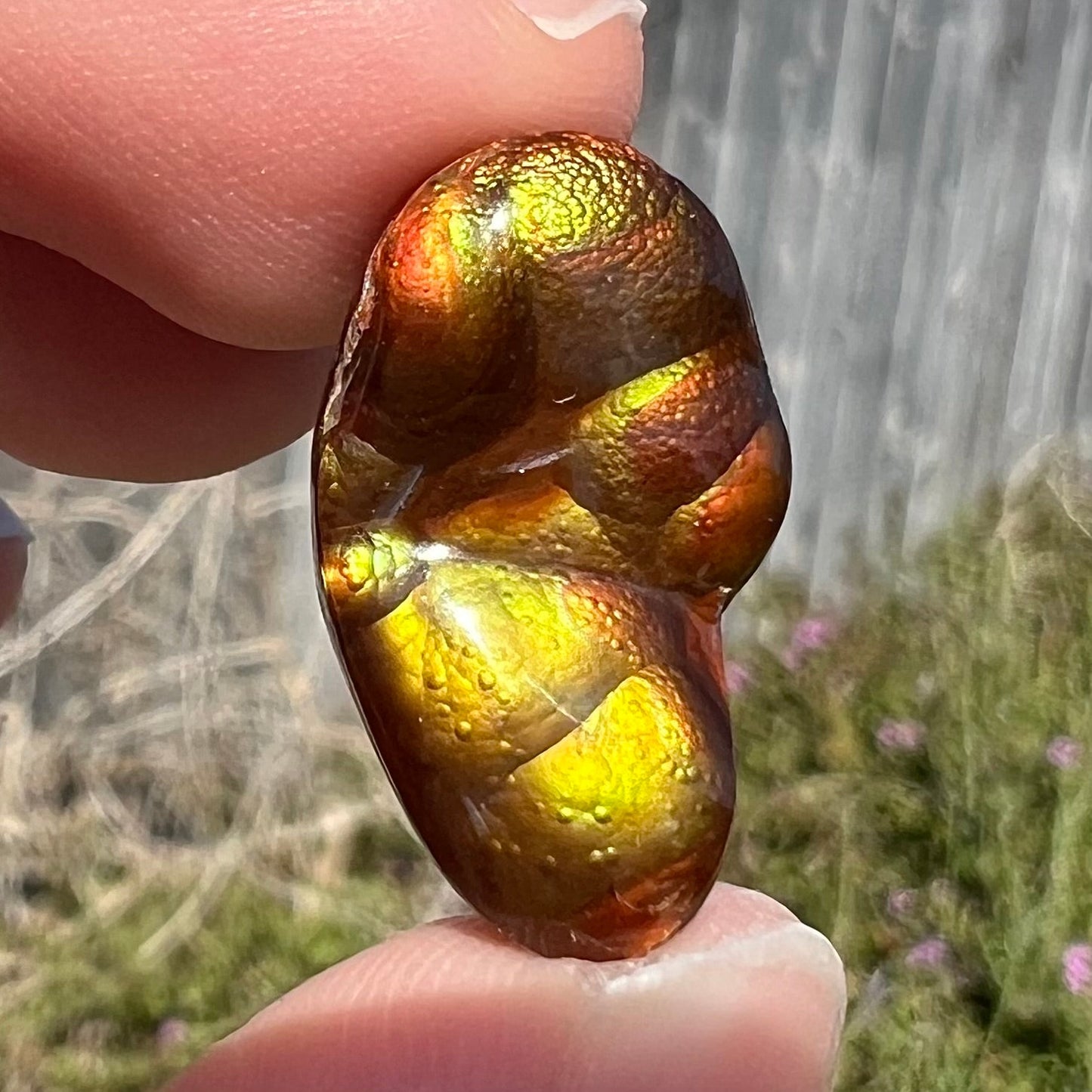 A loose, freeform shaped Mexican fire agate. The stone has green and orange iridescence.