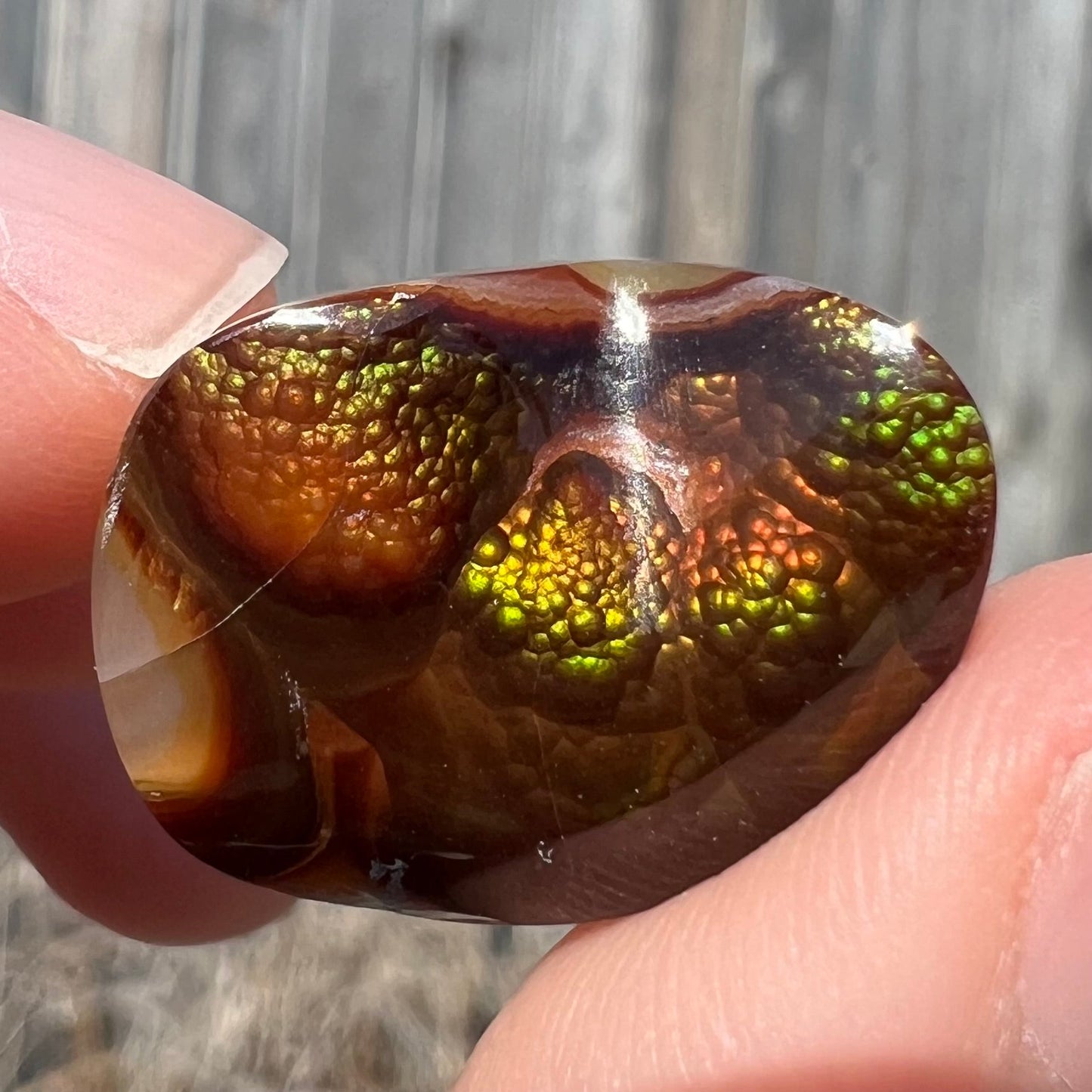 A large Mexican fire agate cabochon. The stone has a bubbly green pattern.