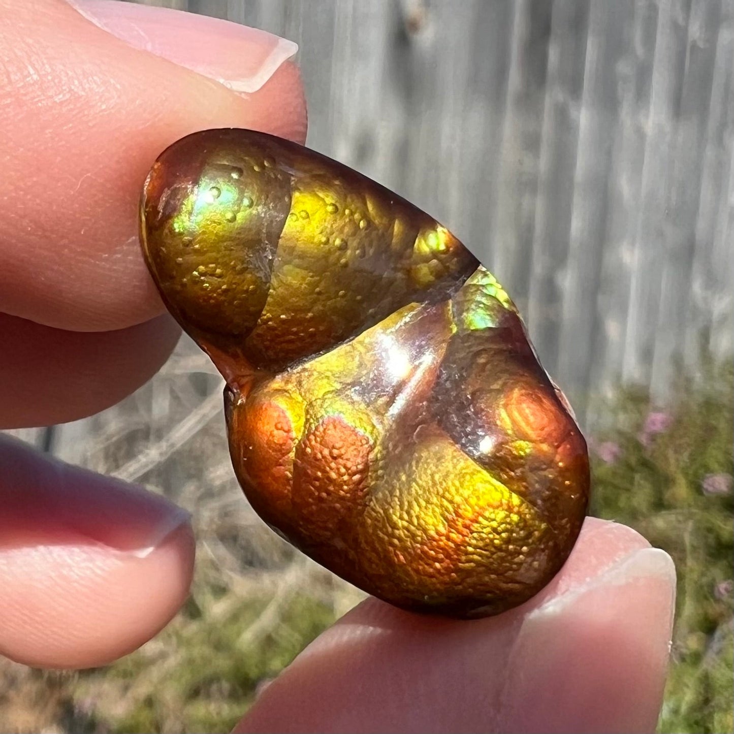 A loose, freeform shaped Mexican fire agate. The stone has green and orange iridescence.