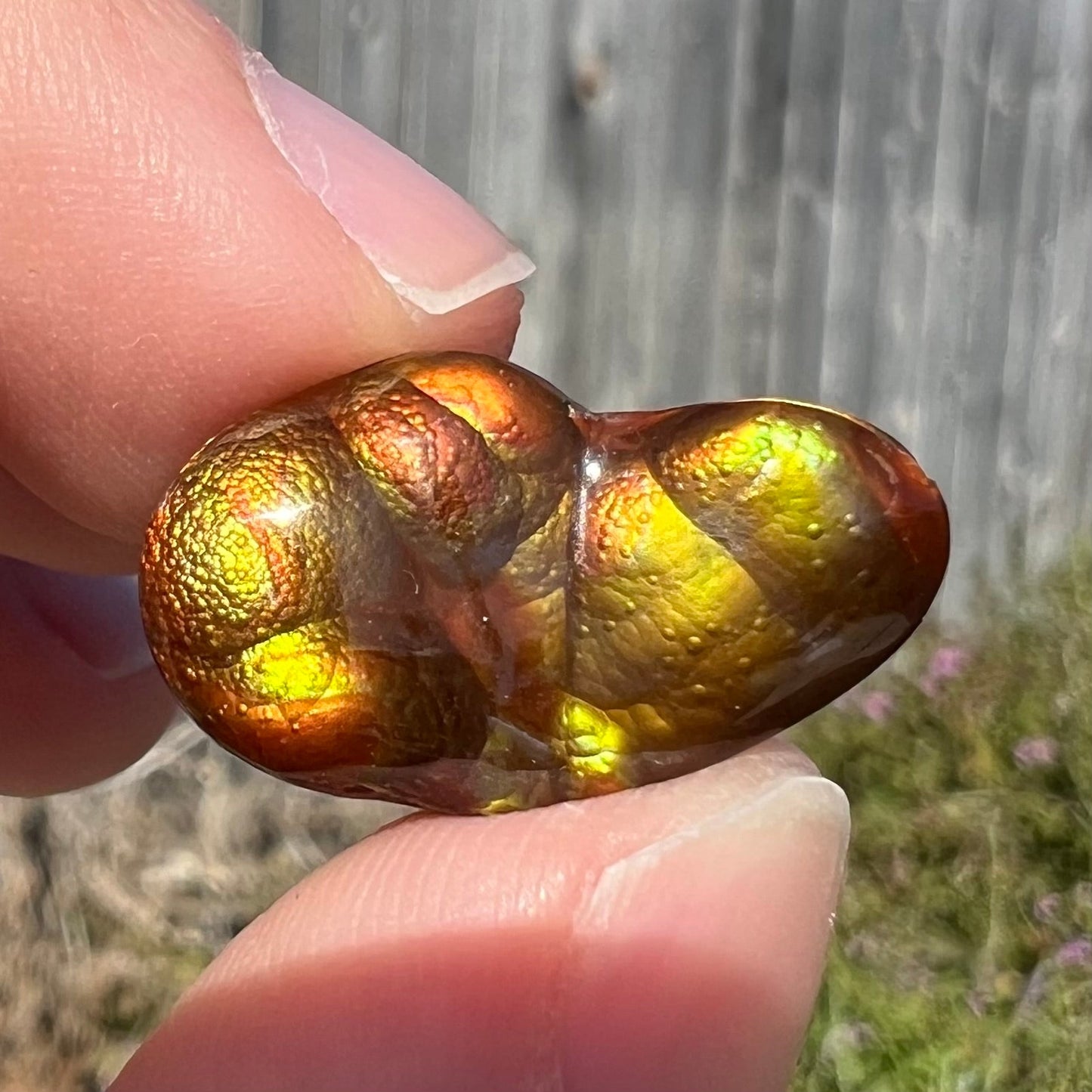 A loose, freeform shaped Mexican fire agate. The stone has green and orange iridescence.