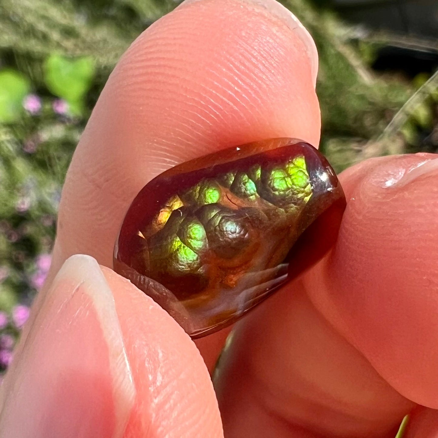 A loose, cabochon cut Mexican fire agate stone. The stone's colors are predominantly bright green and blue.