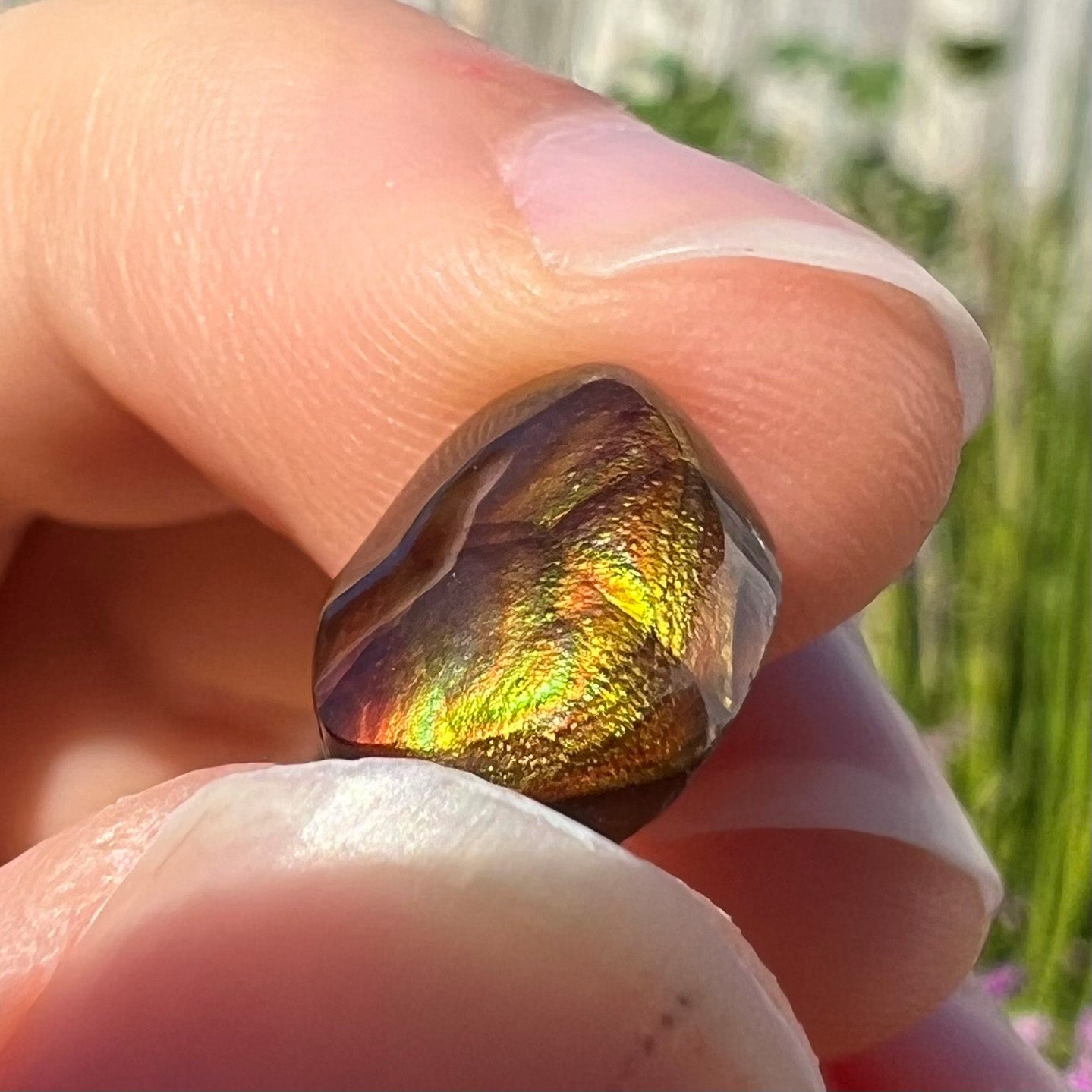 A loose, oval cabochon cut Mexican fire agate stone. The gem is iridescent with every color of the rainbow.