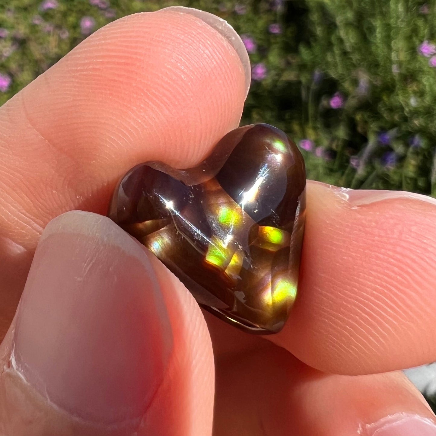 A cabochon cut heart shaped Mexican fire agate stone. The stone is orange, yellow, pink, green, and purple.