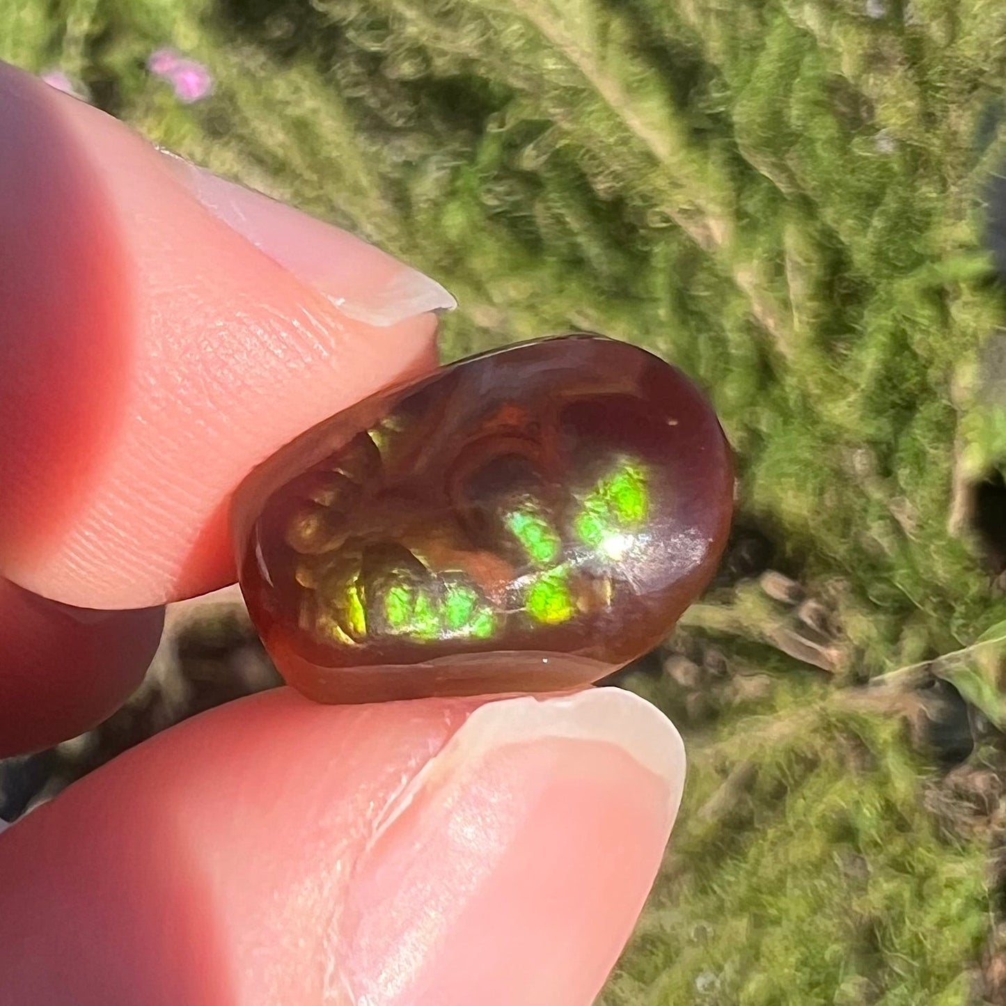 A loose, freeform cabochon cut fire agate gemstone. The stone is green with blue overtones.