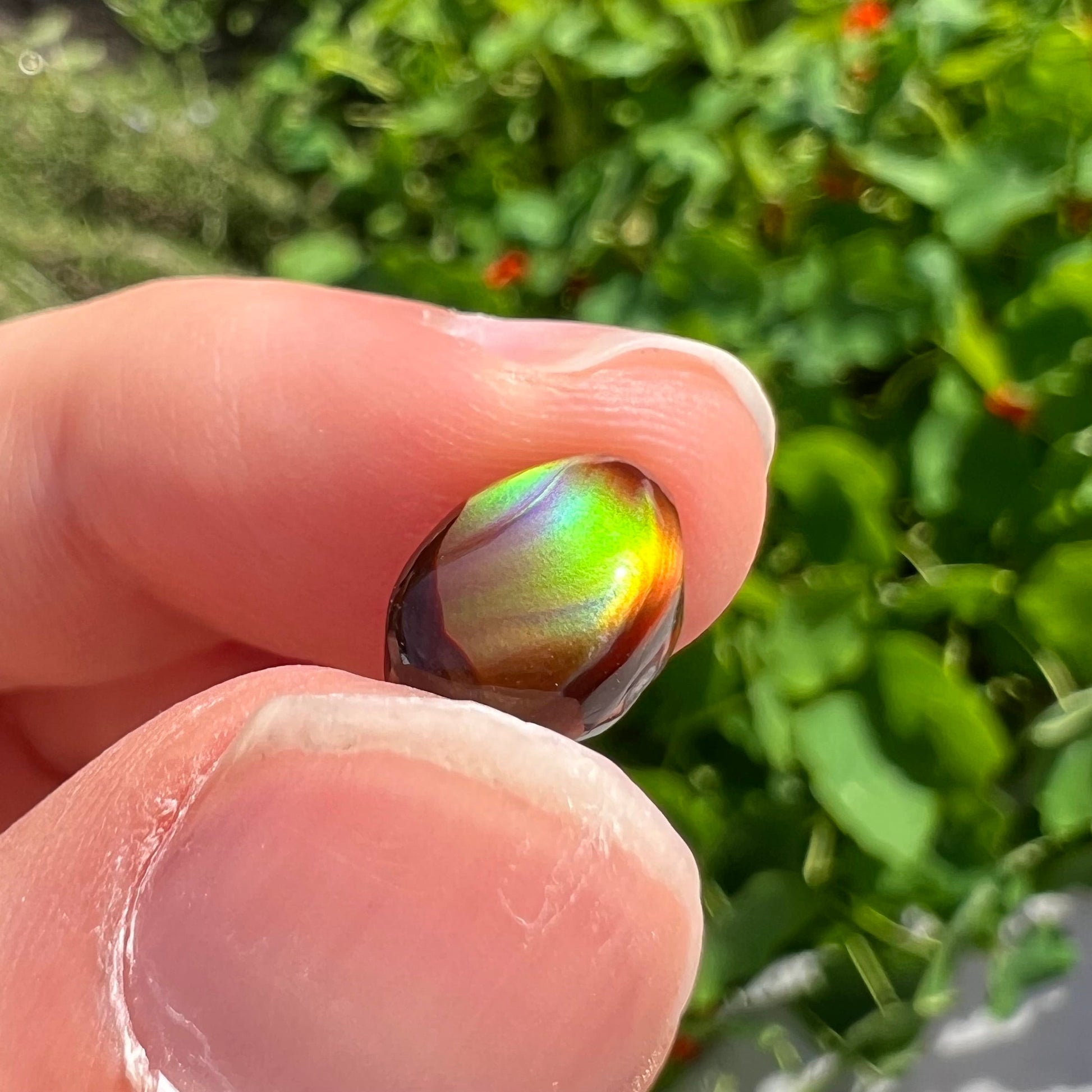 A loose, 3.38ct, pear shaped Mexican fire agate stone.  The stone shines a vivid, bright green color with a purple streak.
