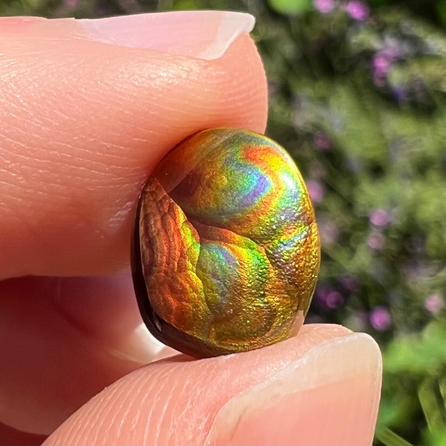 A loose, oval cabochon cut Mexican fire agate stone. The gem is iridescent with every color of the rainbow.