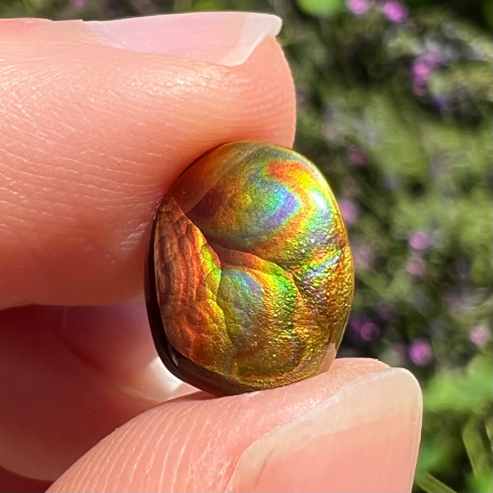 A loose, oval cabochon cut Mexican fire agate stone.  The gem is iridescent with every color of the rainbow.