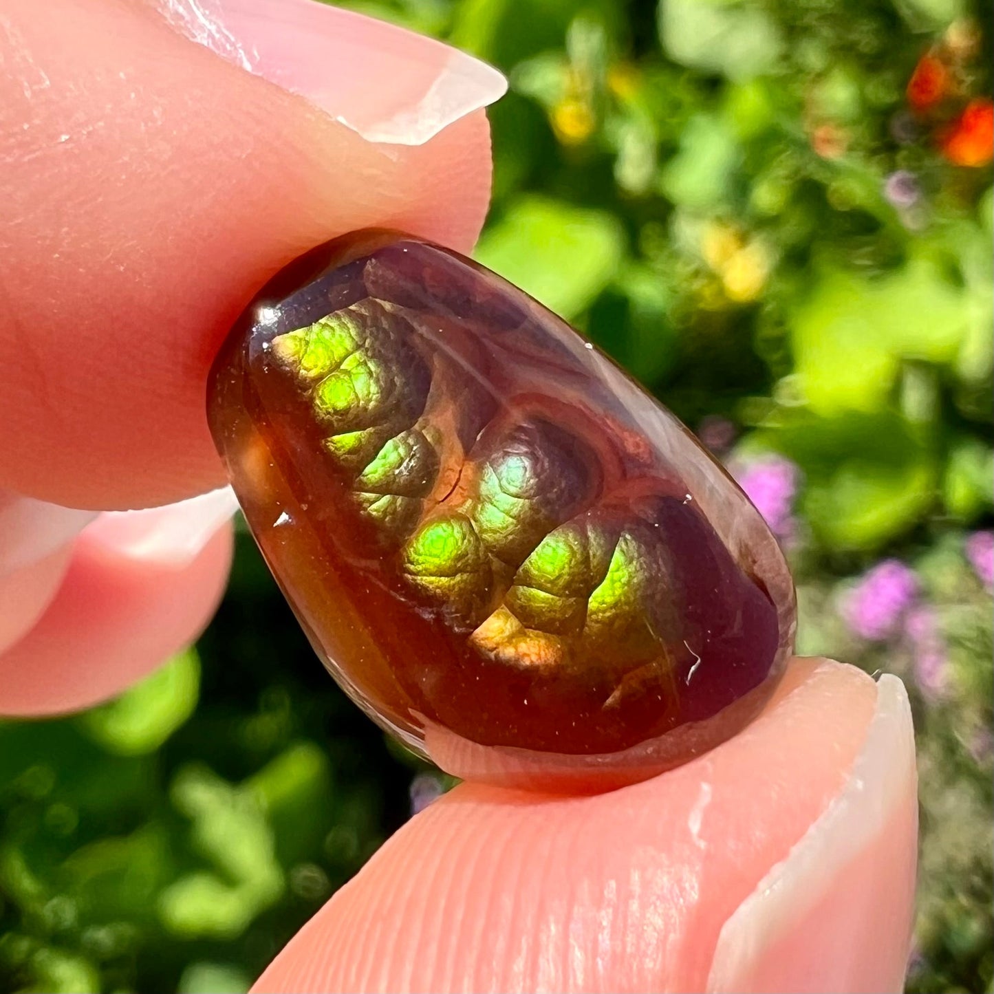 A loose, cabochon cut Mexican fire agate stone. The stone's colors are predominantly bright green and blue.