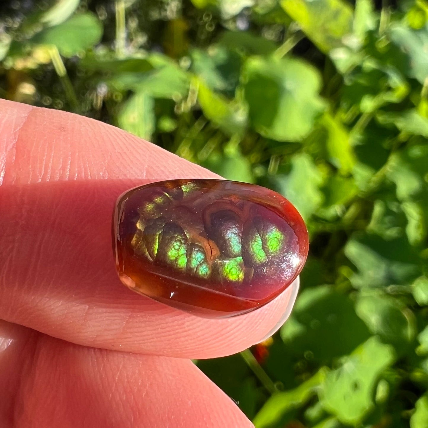 A loose, cabochon cut Mexican fire agate stone. The stone's colors are predominantly bright green and blue.