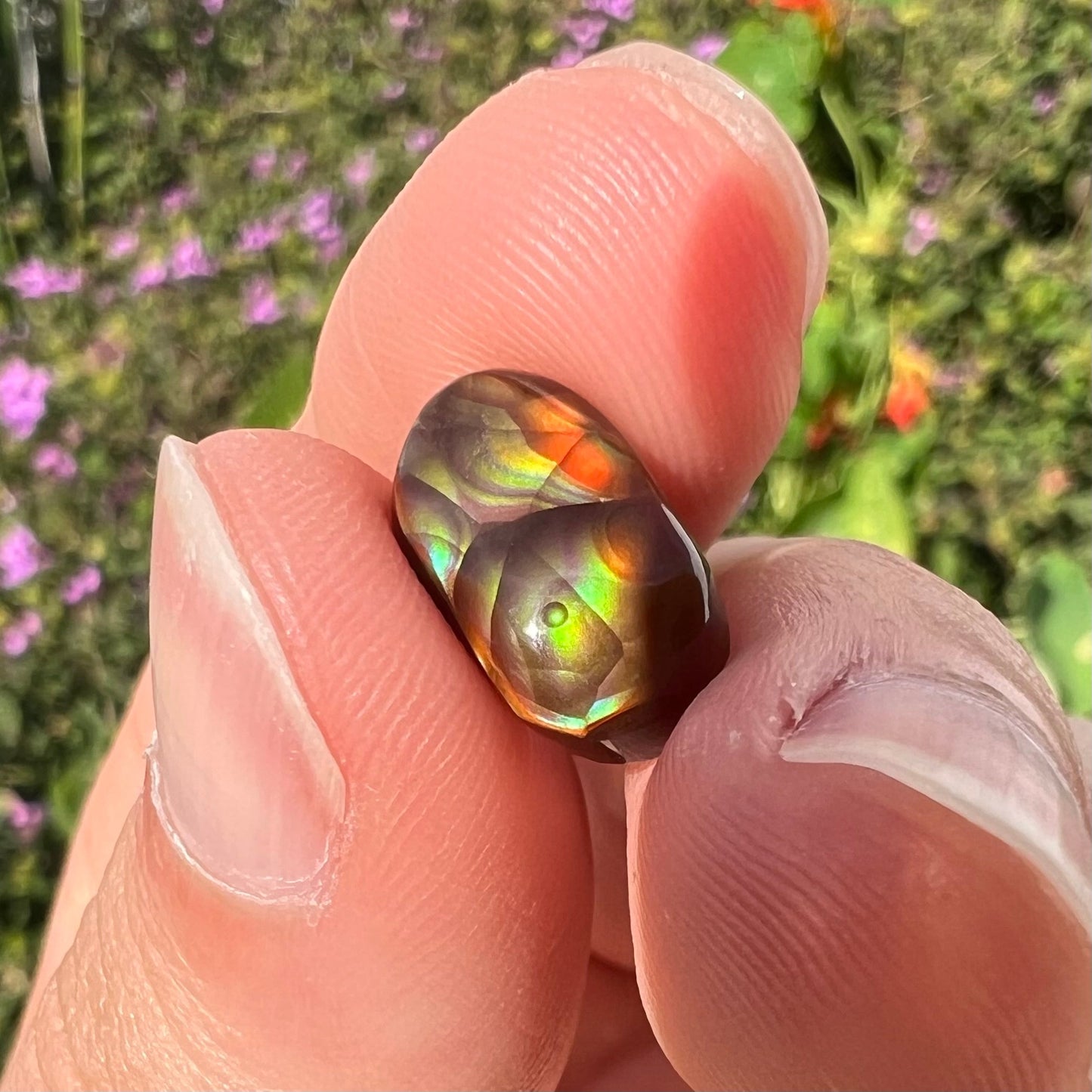 A loose, oval cabochon cut Mexican fire agate stone. The stone has multi-colored banding with blue overtones.