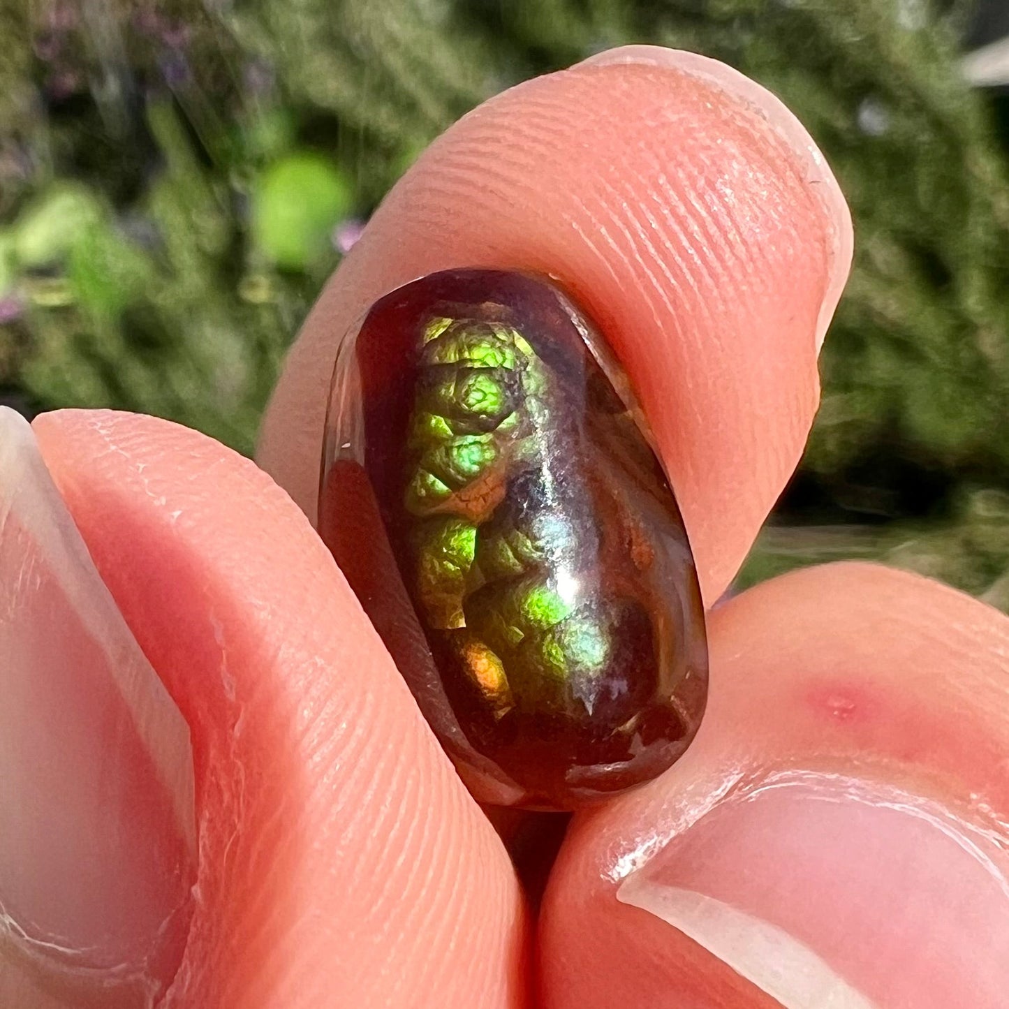 A loose, cabochon cut Mexican fire agate stone. The stone's colors are predominantly bright green and blue.