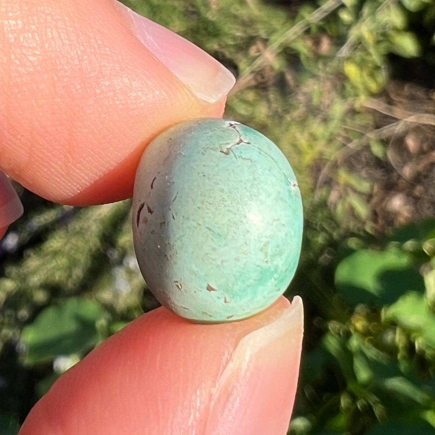 A loose, oval cabochon cut turquoise stone from the Sleeping Beauty Mine in Arizona. The stone is a greenish blue color.