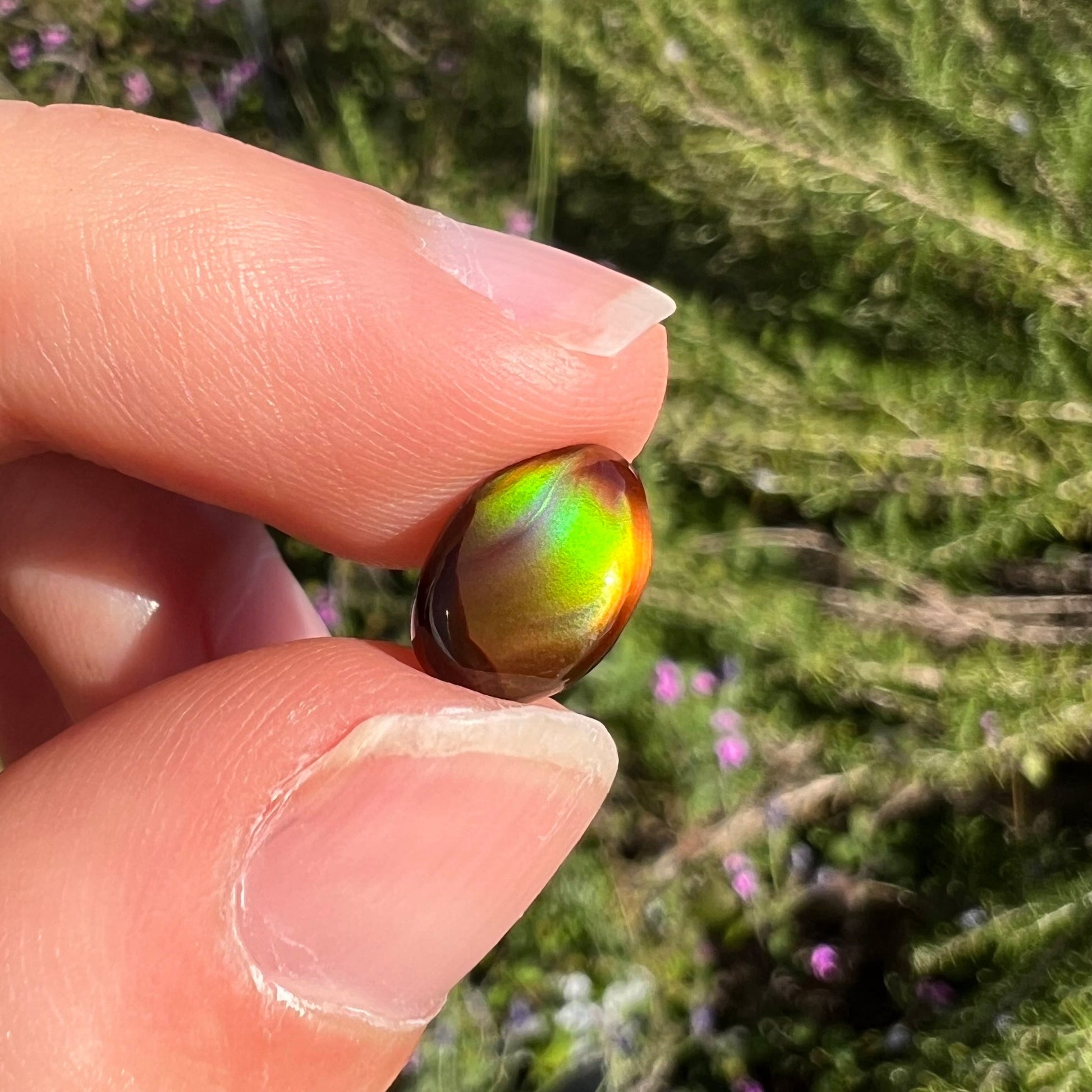 A loose, 3.38ct, pear shaped Mexican fire agate stone.  The stone shines a vivid, bright green color with a purple streak.